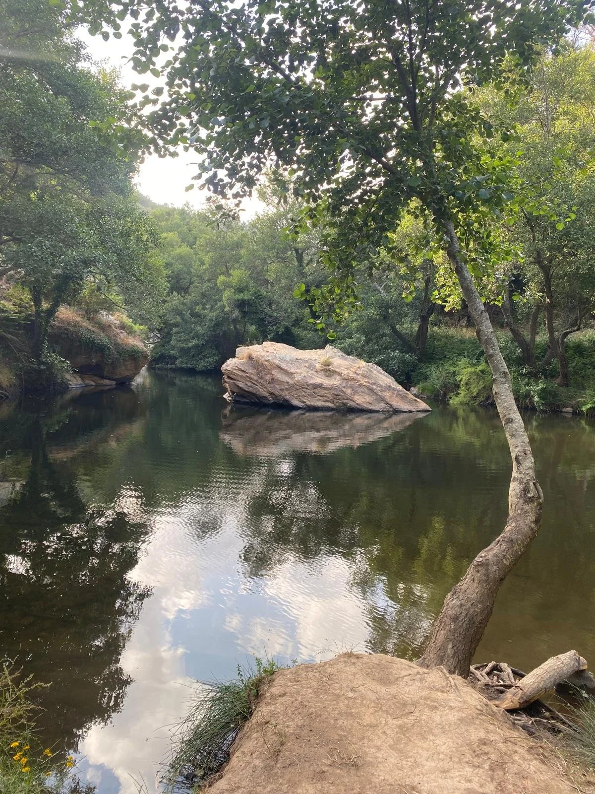 PHOTO-2025-06-14-11-04-56 4.jpg