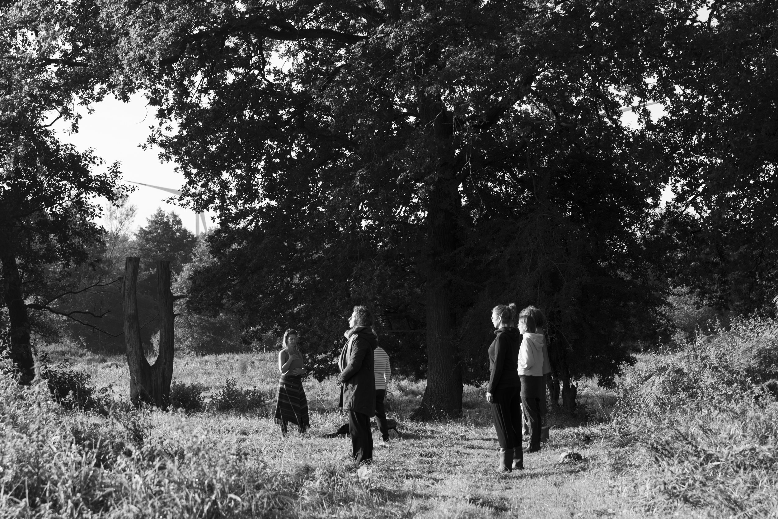 1T3A1959_Soul Nectar_unretouched_Katrin Schöning Photography.jpg