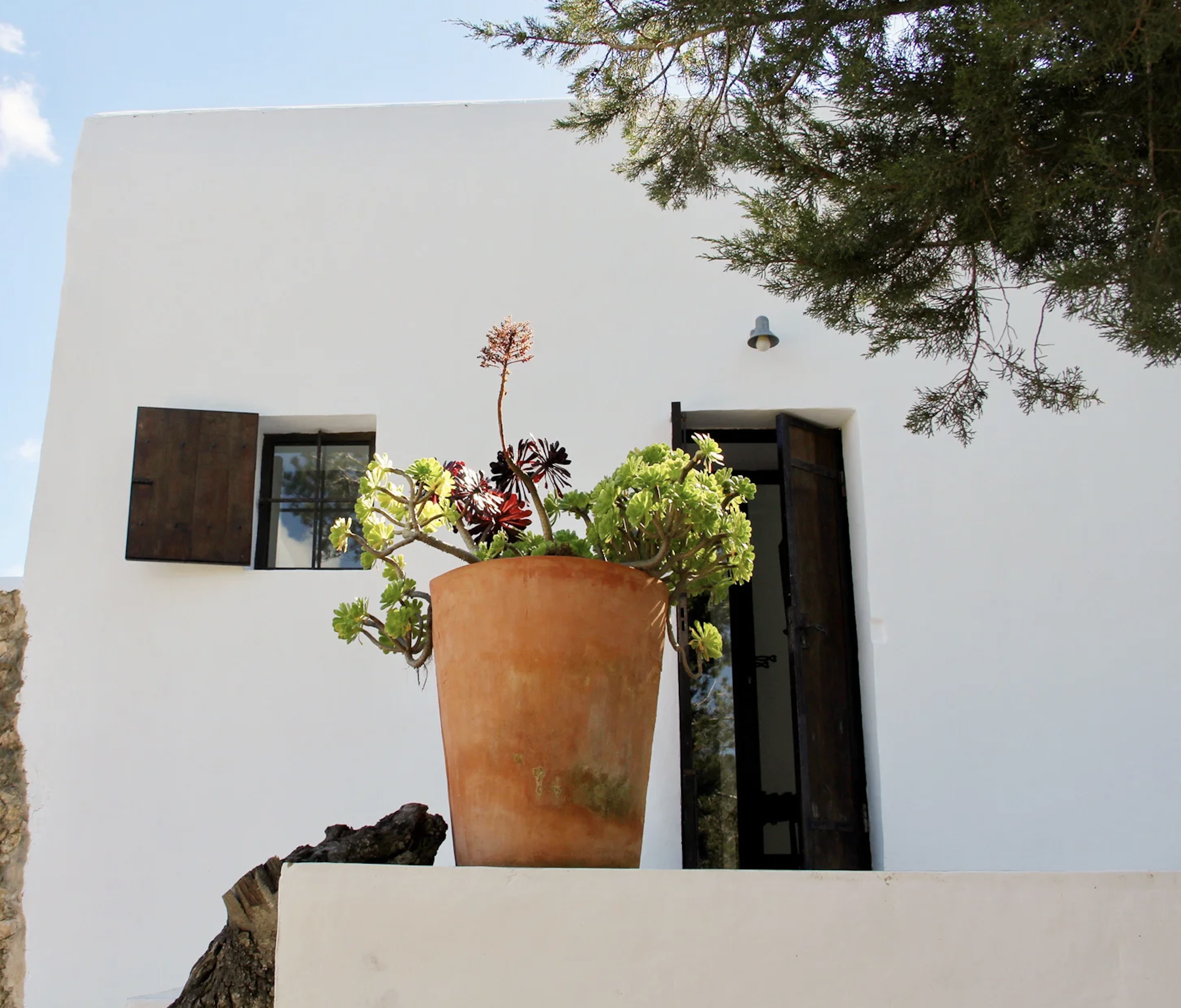 Bildschirmfoto 2026-01-19 um 15.42.01.png