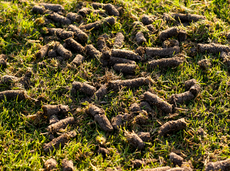 Why Golf Course Aeration Matters? DTE Golf