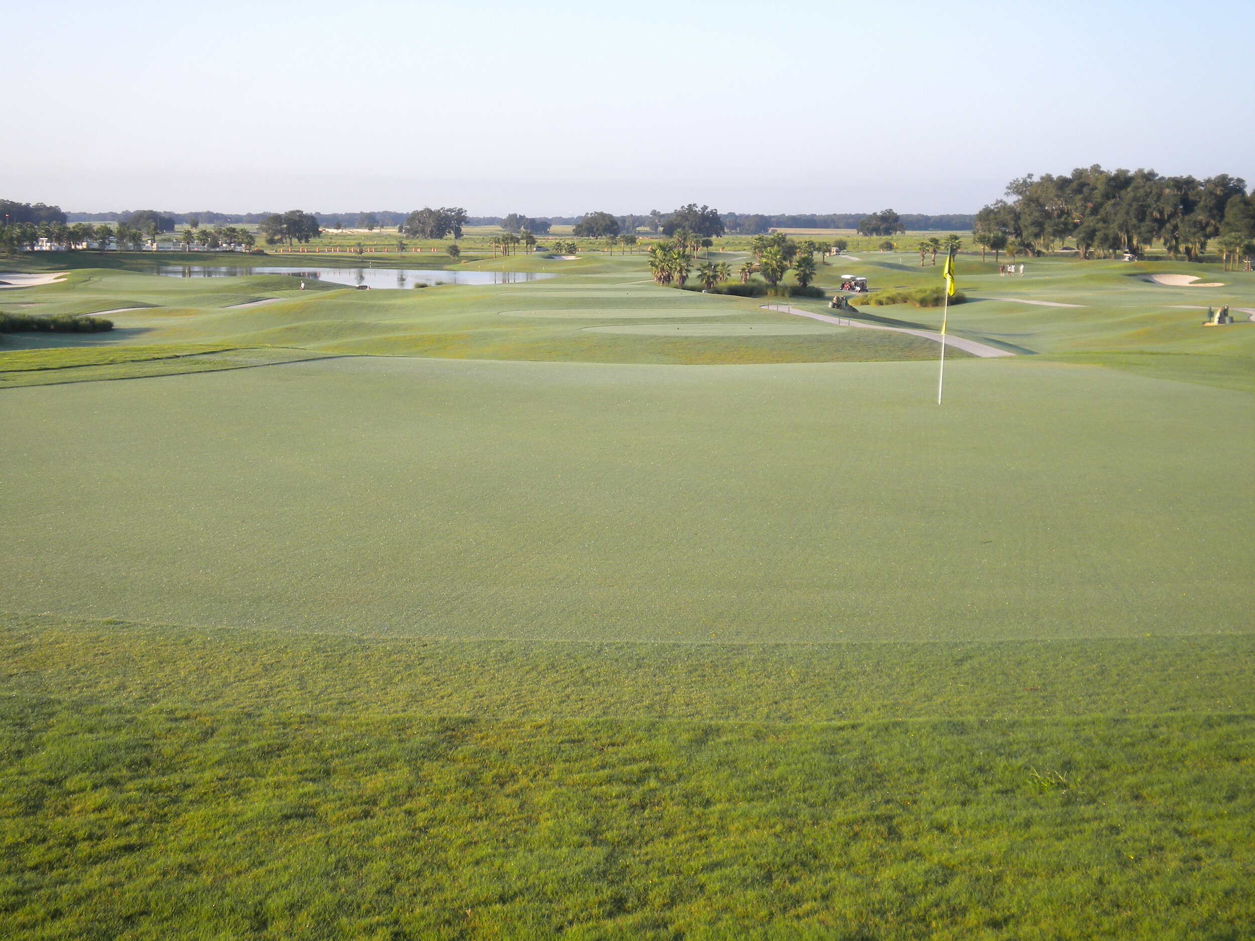Different Species of Grass on Golf Courses | DTE Golf®