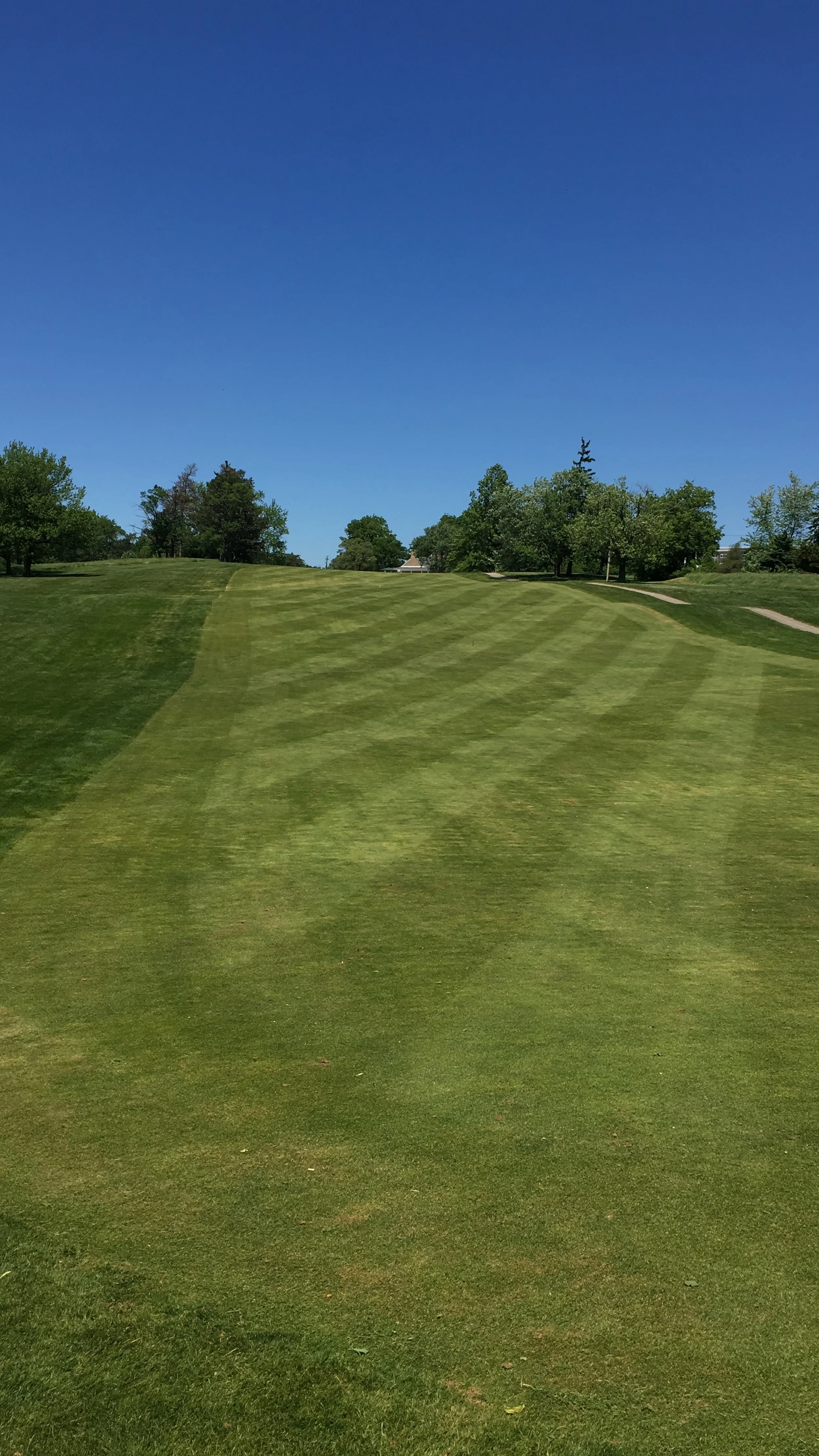 Mowing Heights and Frequency on Golf Courses