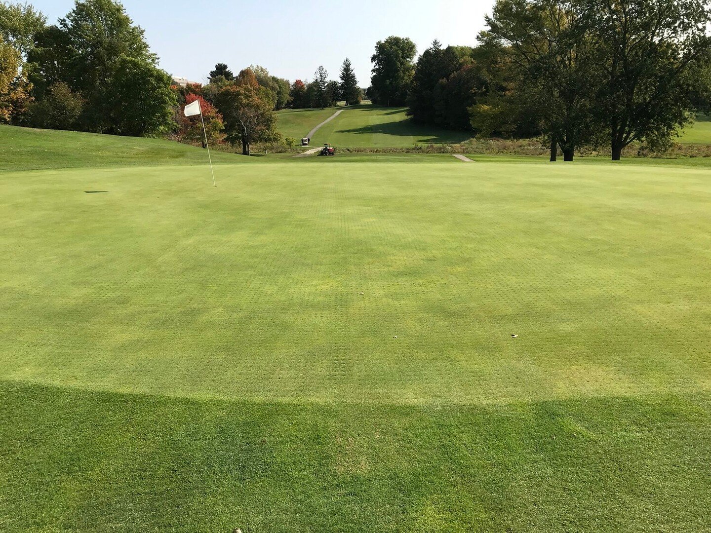 Turf grass management is a disciplined and precise science, and involves a lot more than mowing to manage all the grass. To know the basics of turfgrass management, read our blog. Link in bio! 

#golfmaintenance #golf #golfcourse #greenkeeping #golfc