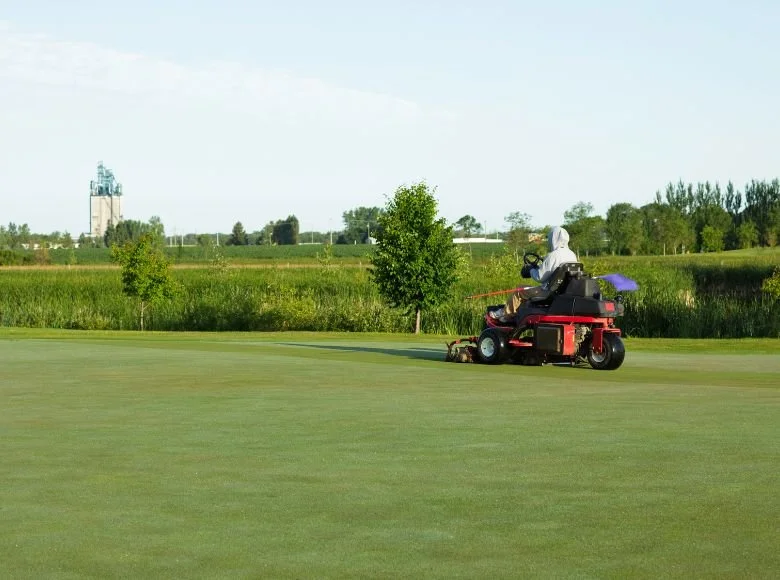 Common Challenges in Putting Green Maintenance DTE Golf