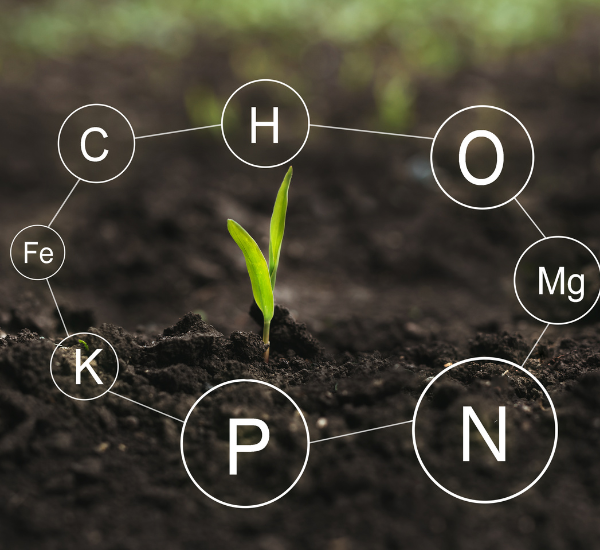 Why Do Fertilizers Matter on the Golf Course? DTE Golf
