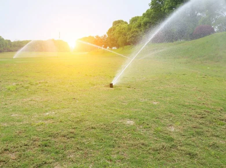 Efficient irrigation techniques for summer golf course maintenance