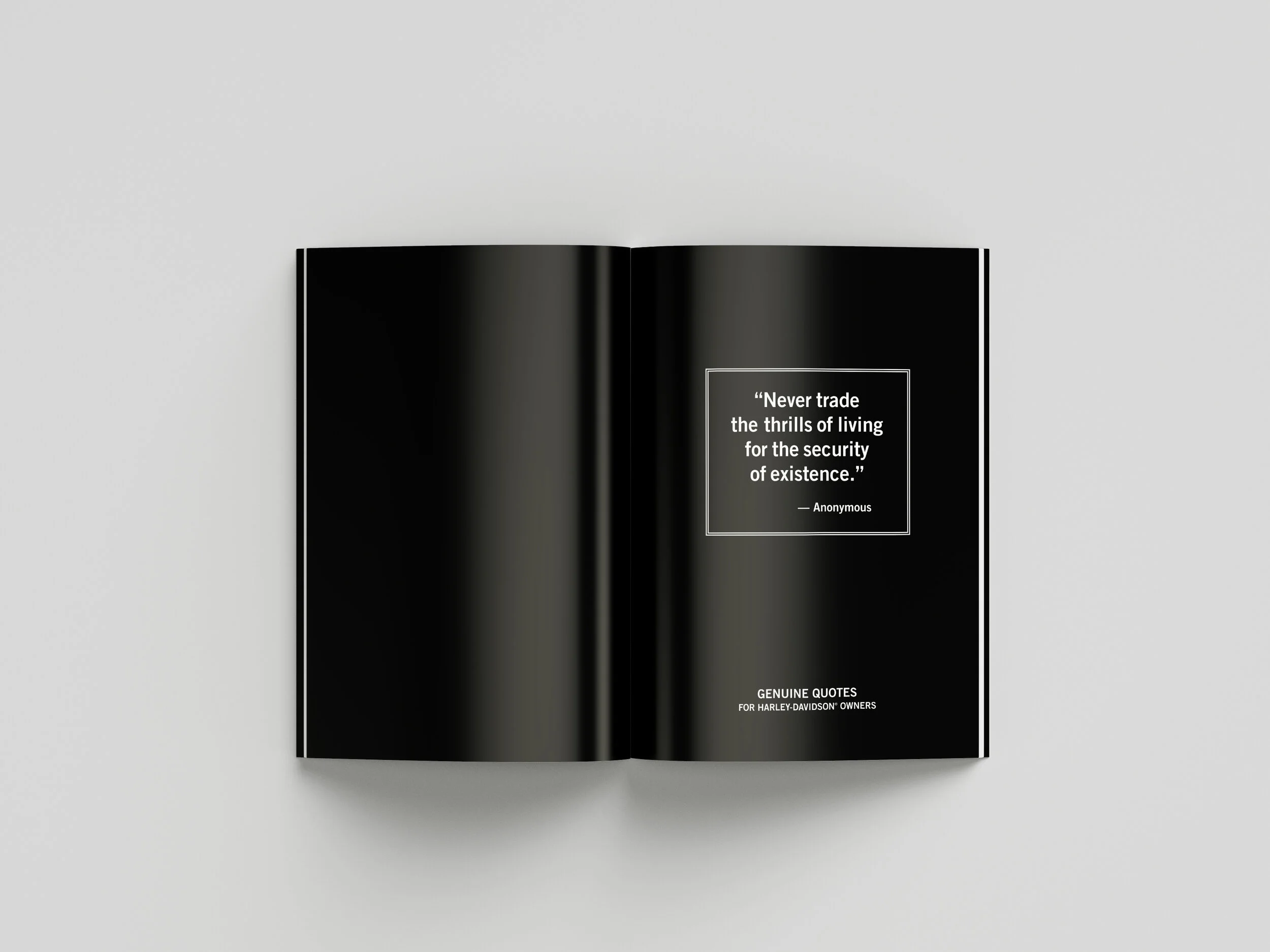 HDFs_Brochure_Inside_8.jpg