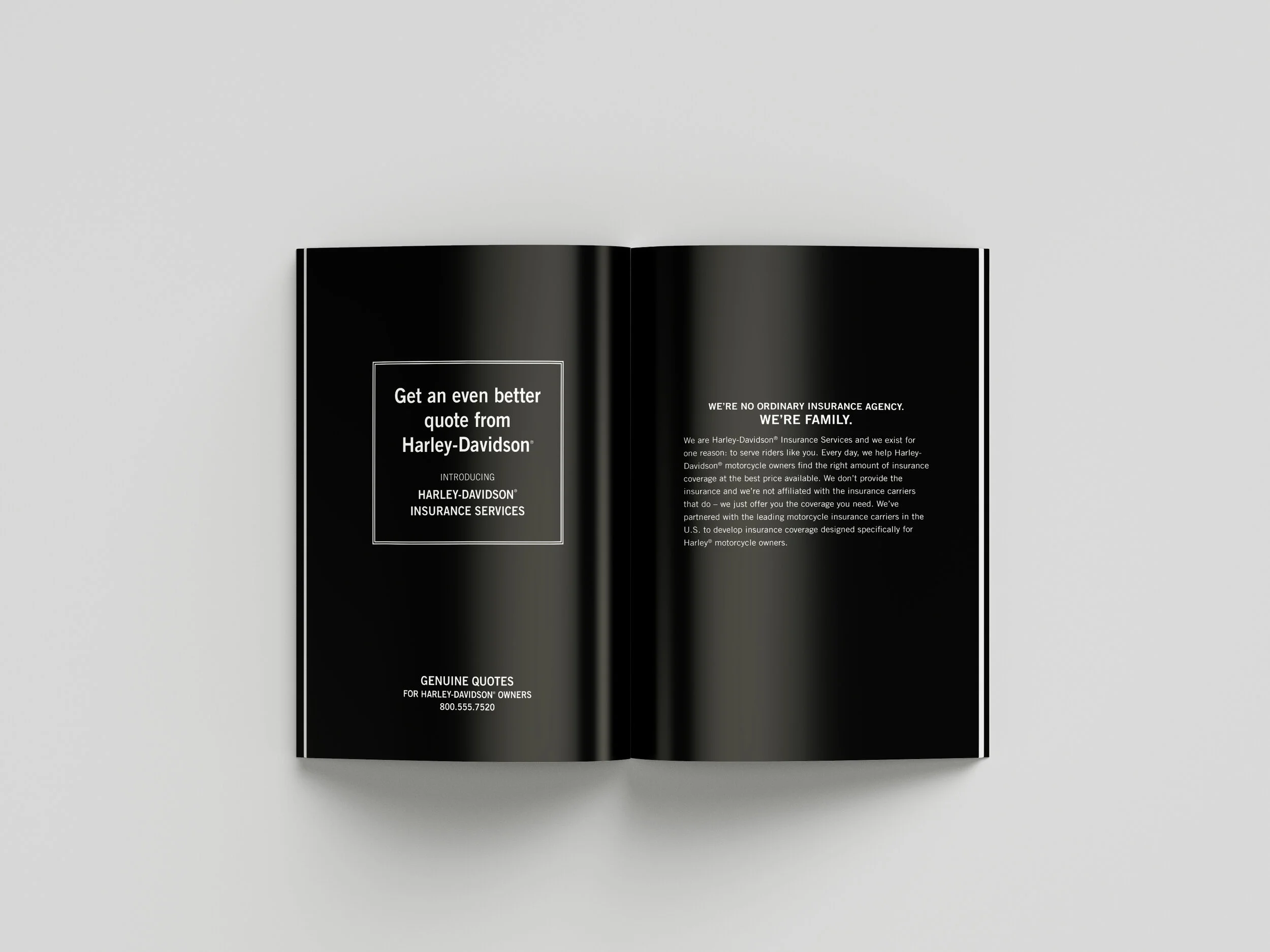 HDFs_Brochure_Inside_5.jpg