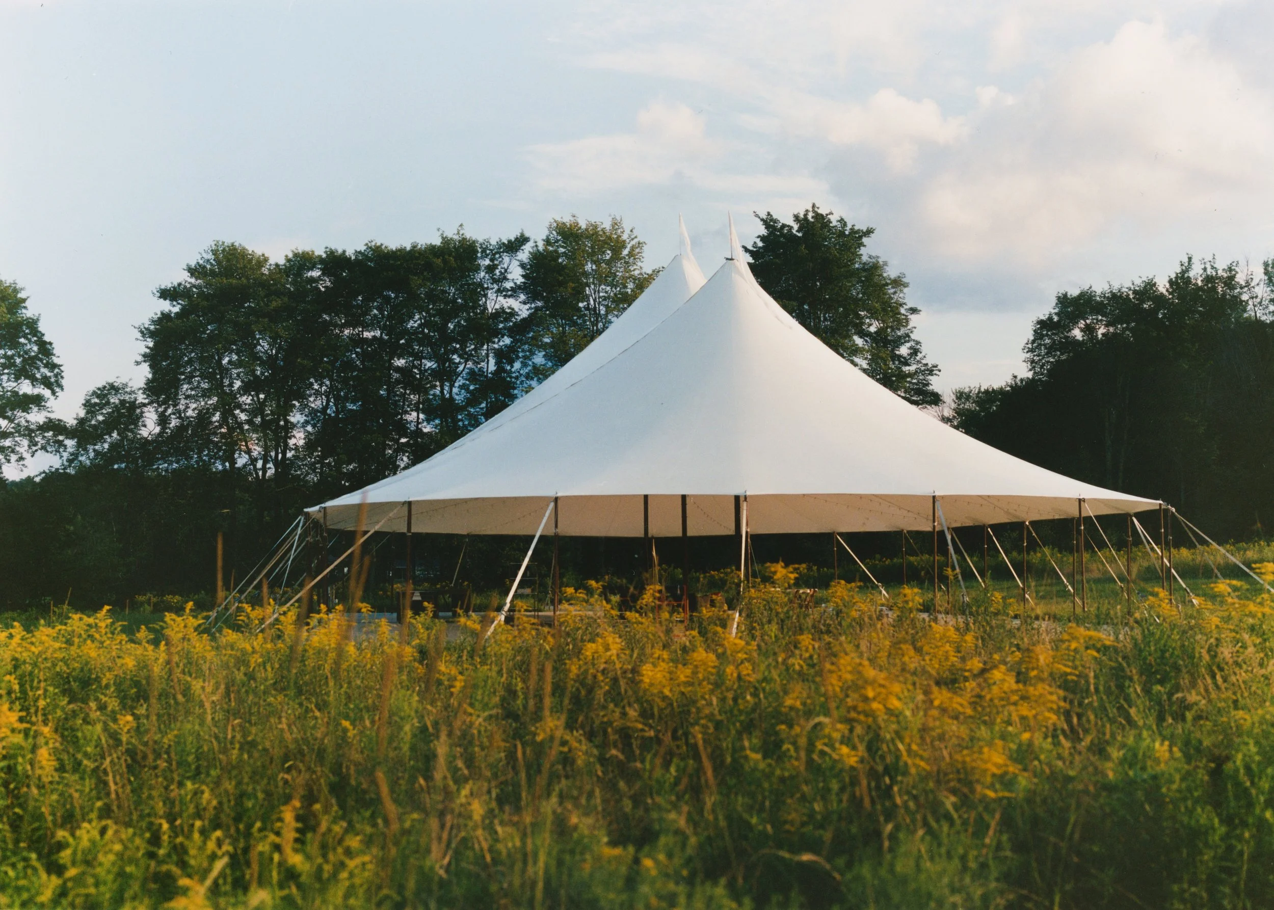 Large white event tent set up in a field with yellow wildflowers, surrounded by trees, and a partly cloudy sky overhead.