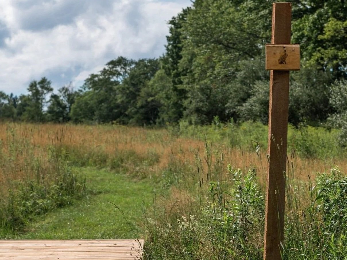 A wooden birdhouse mounted on a tall post in a grassy field with trees in the background.