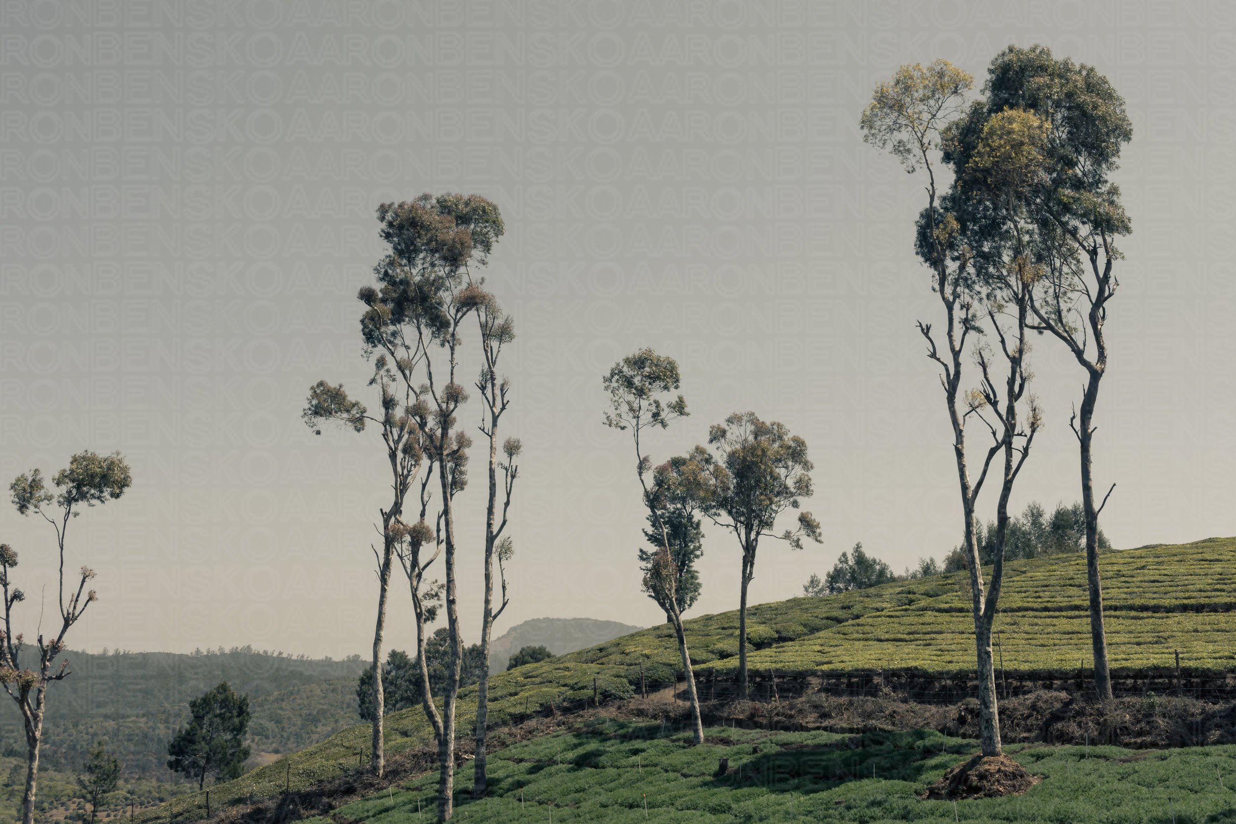 --7Y6A8291INDIA+2018_11+Crystal+Ship+Mediumurban+trek_resized.jpg