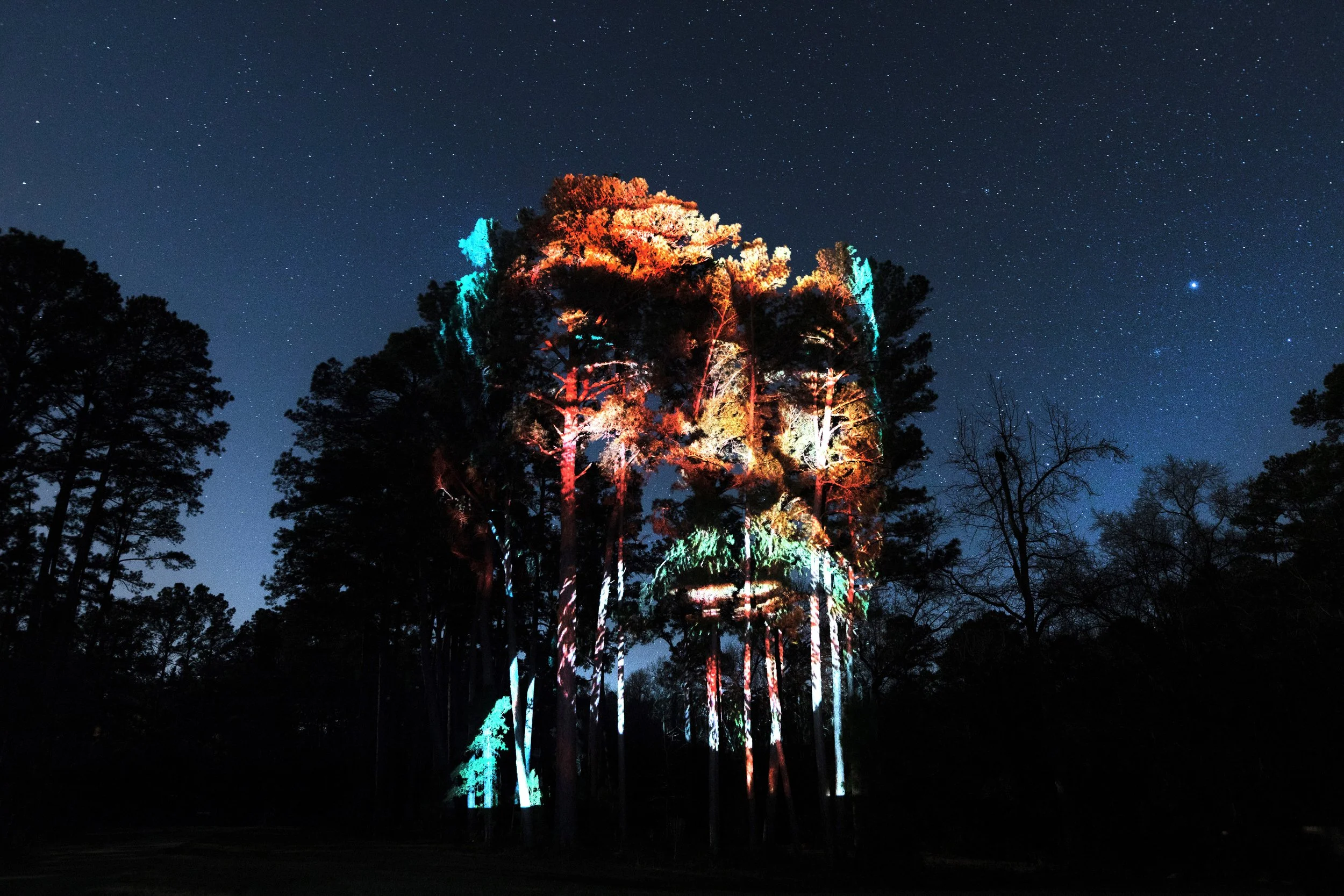 Lindale Heros_015.jpg