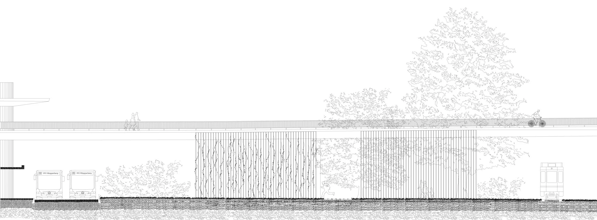 Elevation of Spider