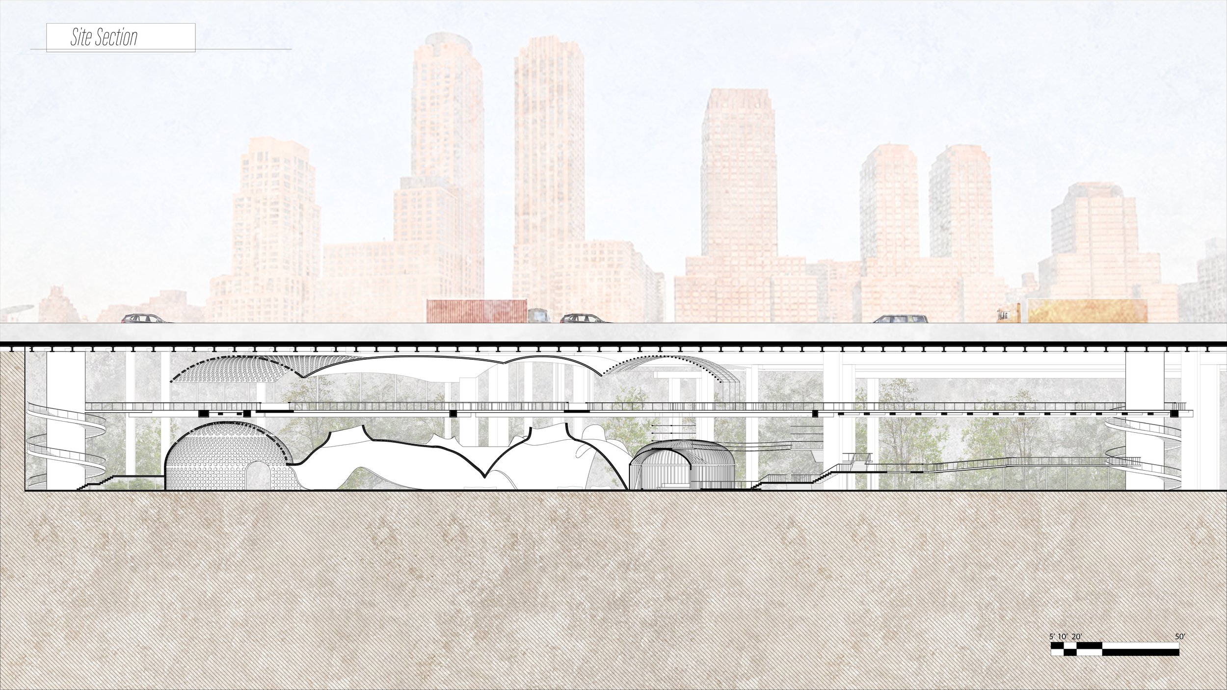 ARCH Roberts BenFox FA21 09 Site Section.jpg