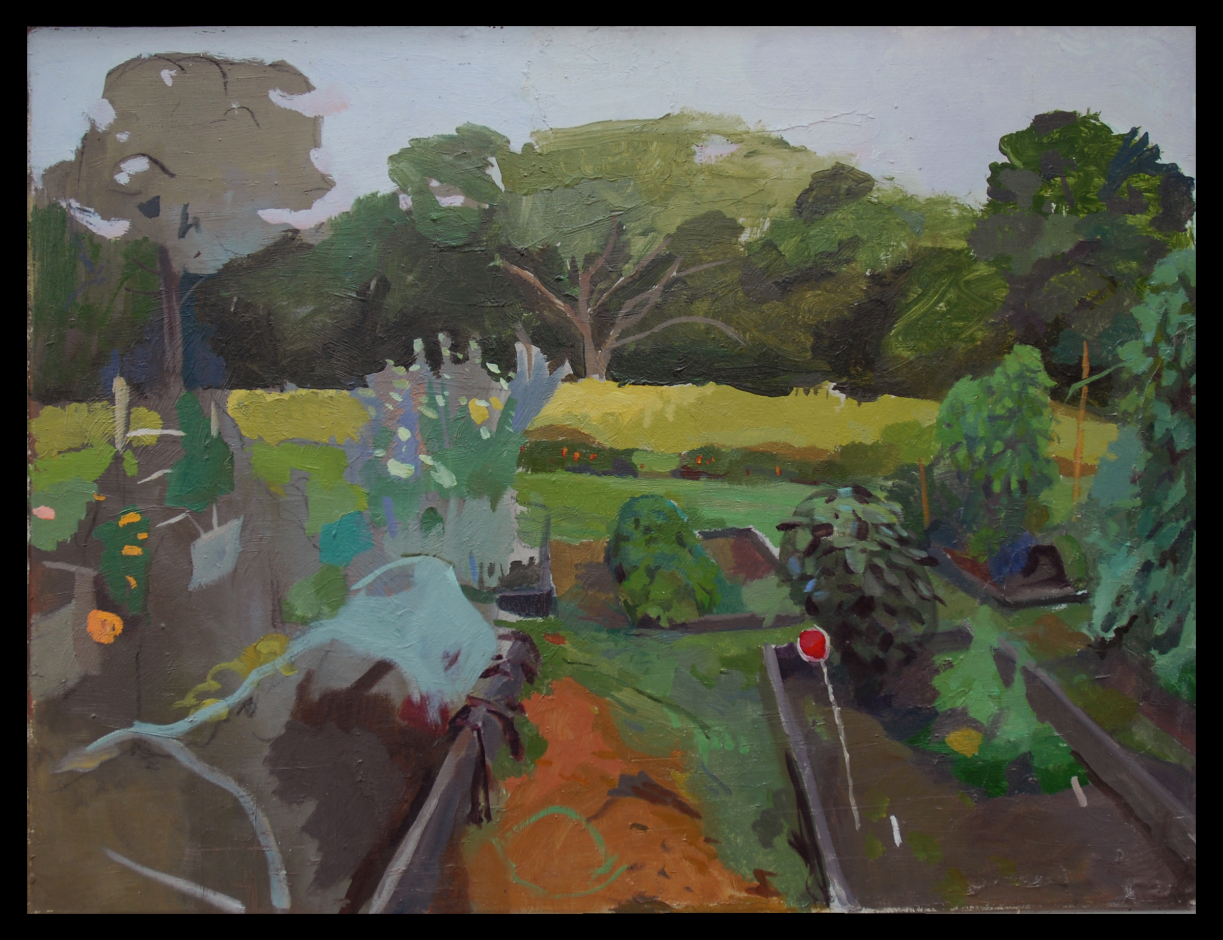 Garden with Reflector, 20" x 24", Oil on Board, 2012