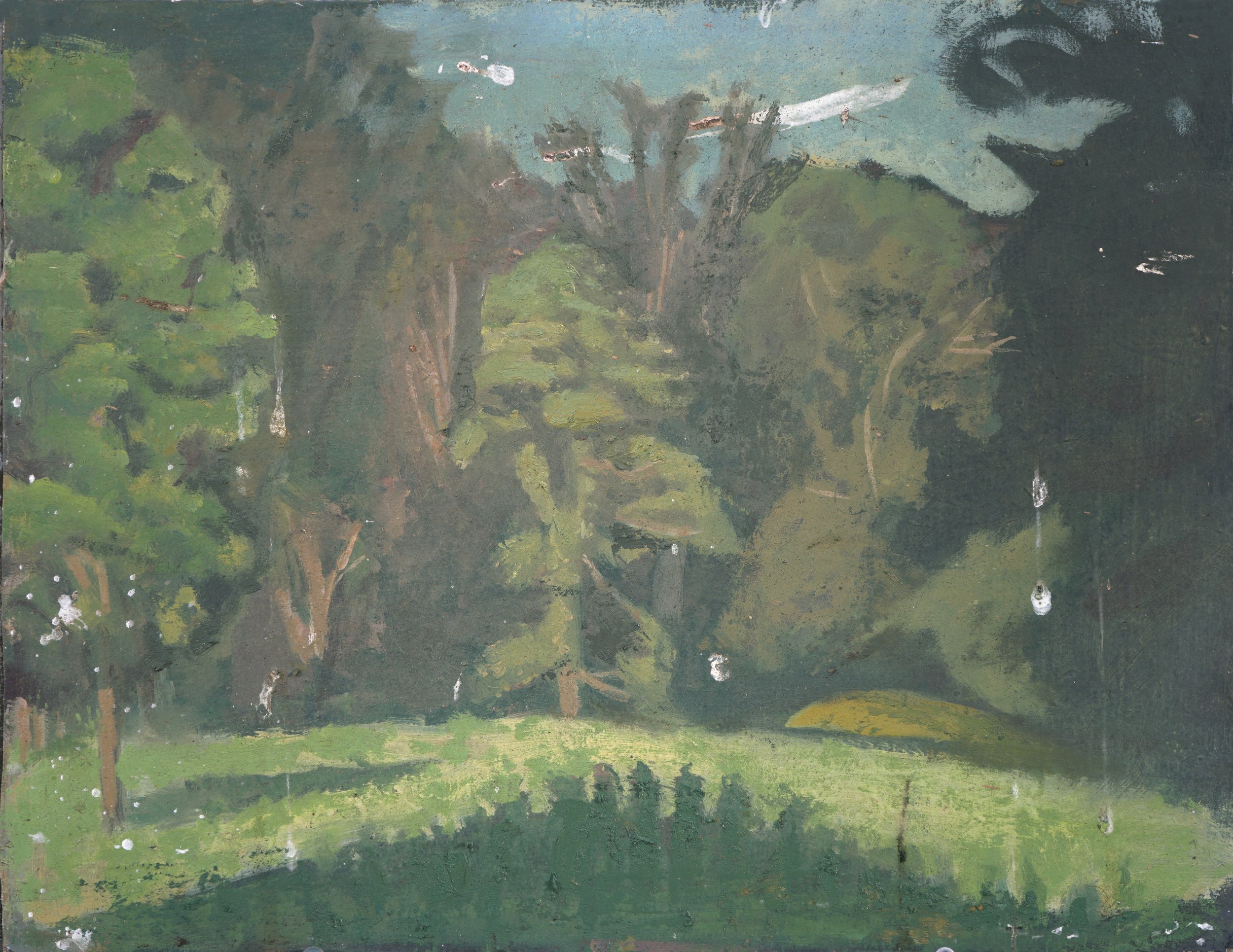 Landscape with Advancing Shadow. 
