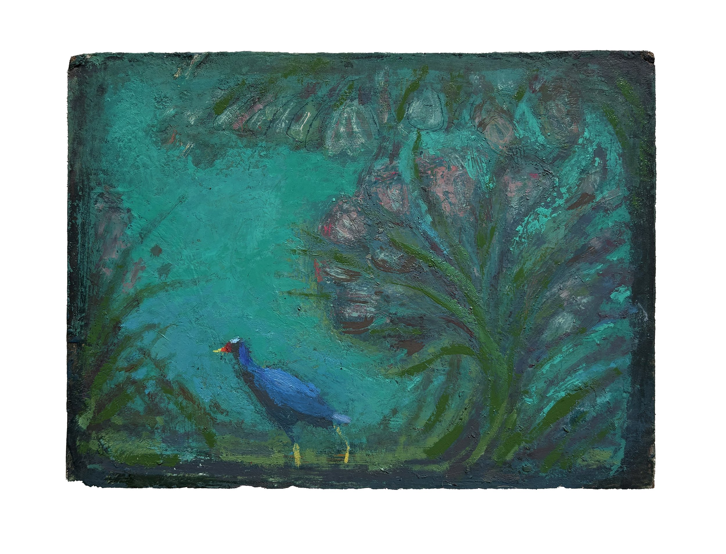 Purple Gallinule, 6" x 8" oil on board, 2026