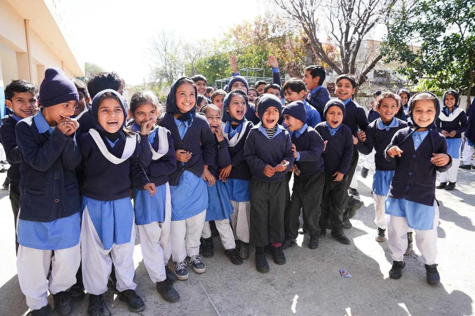 WhatsApp Image 2025-09-27 at 13.04.46.jpeg