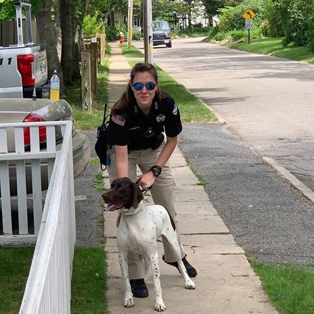 The dog days of summer came early to the Dukes County Sheriff's Office! In this #TBT from last week, Deputy Klingensmith is accompanied by Barnstable's K-9 unit at the Dukes County Jail and House of Corrections. In the spirit of mutual aid, K-9s from
