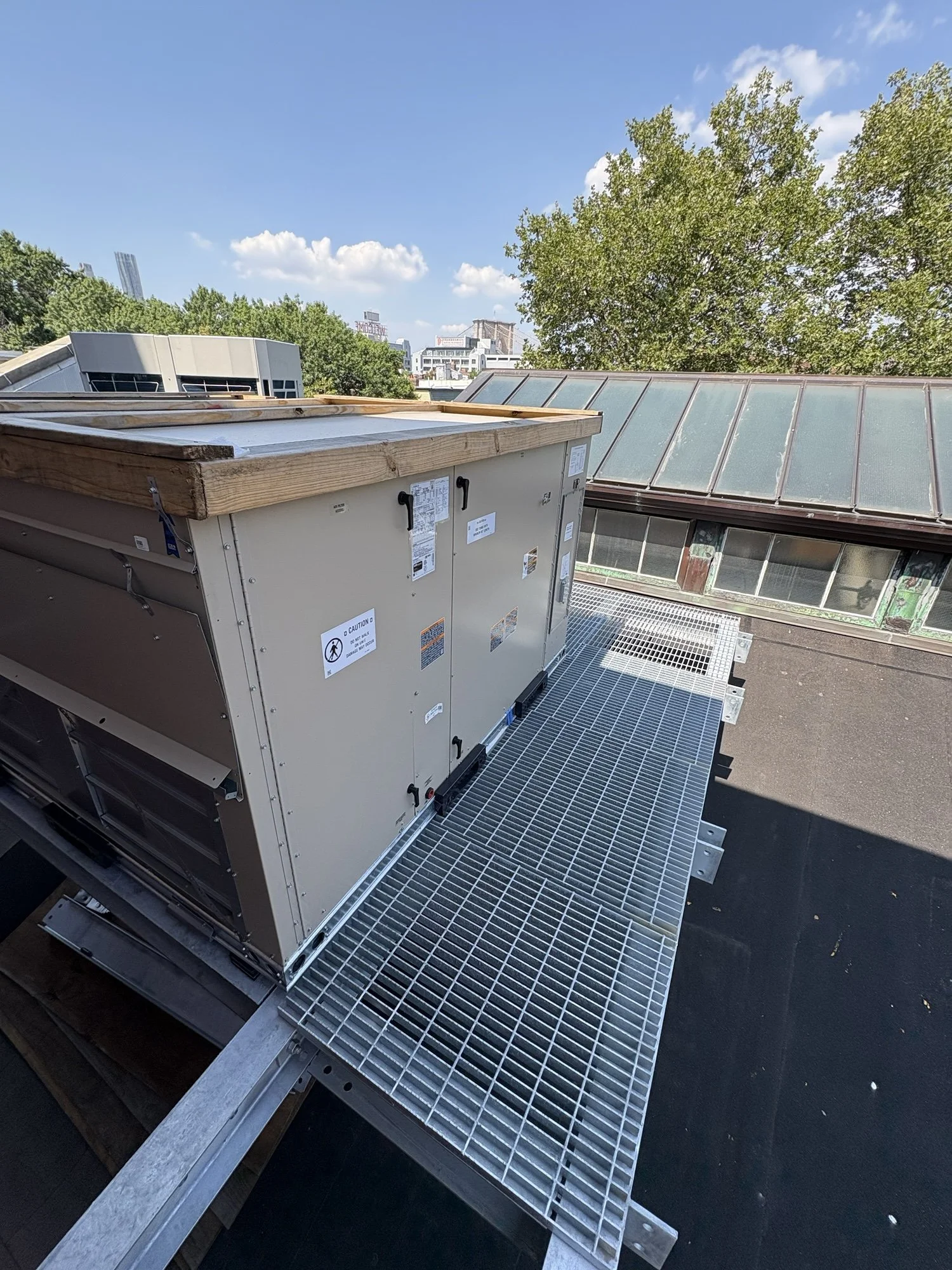 Copy of 4951C1B1-6B43-41C1-B7E7-E4930AC921A4.jpeg