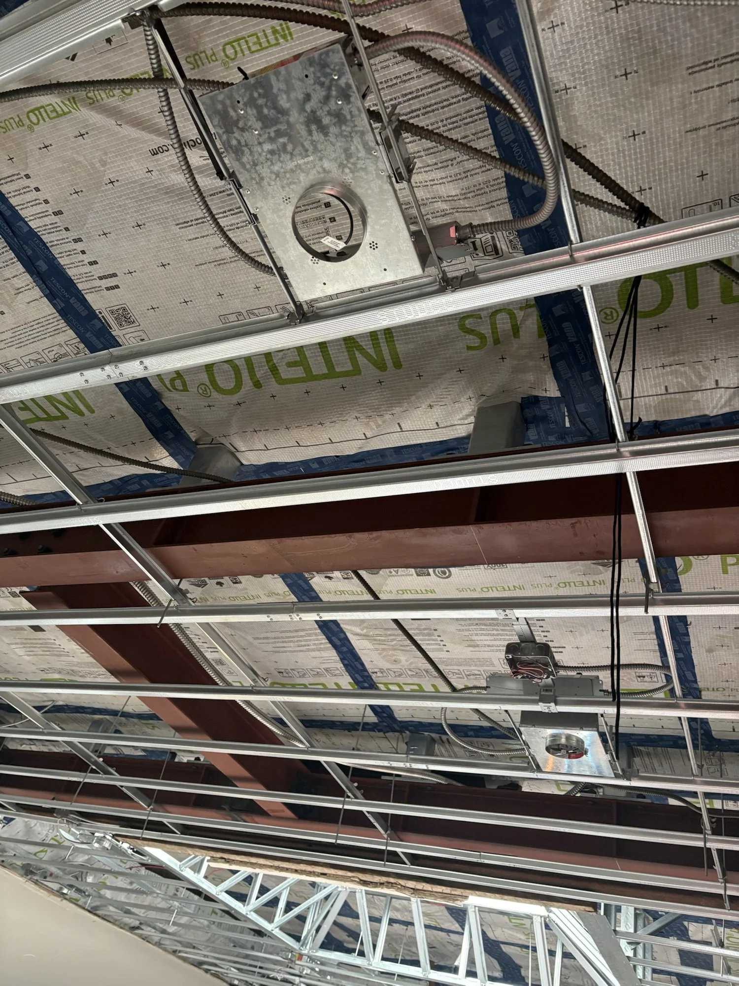 Copy of F34ECBA5-BD0B-4E83-9A47-28FEC0D1F7C4.jpeg