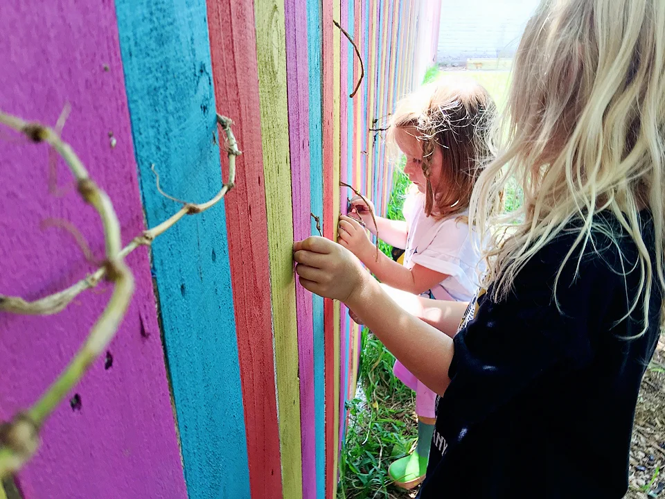 Firefly Community School Vines on the Fence.jpg