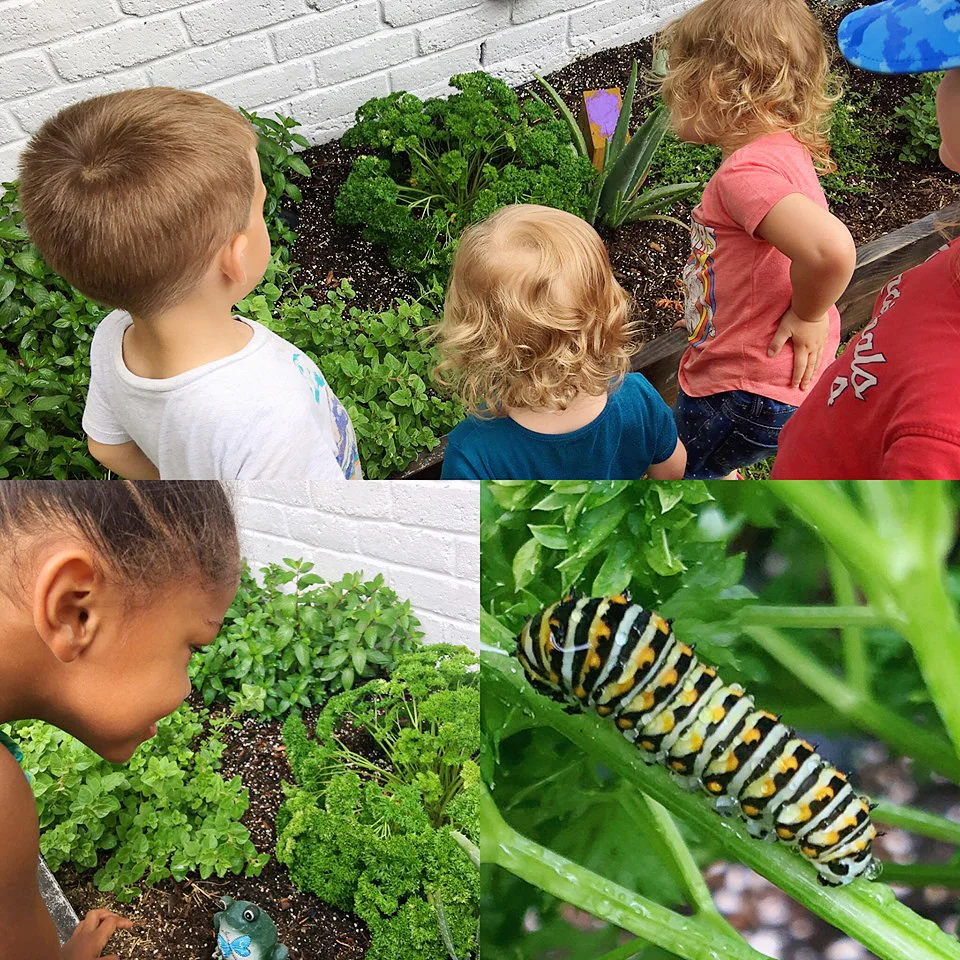 Firefly Community School Exploring the Garden.jpg