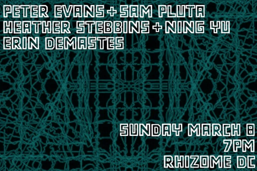 Ning Yu &amp; Heather Stebbins, Peter Evans &amp; Sam Pluta, Erin Demastes | Rhizome DC