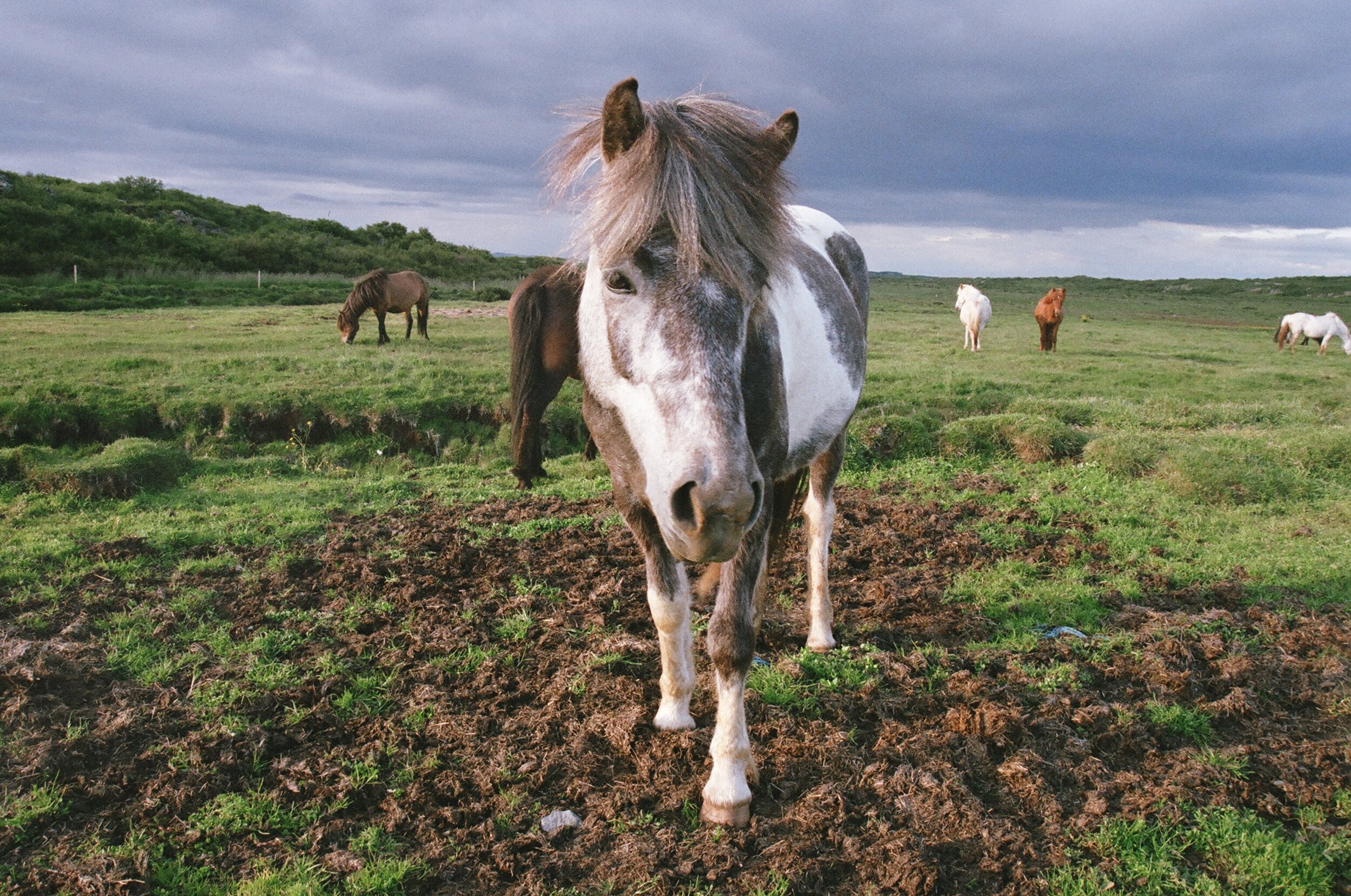  Iceland, 35mm 