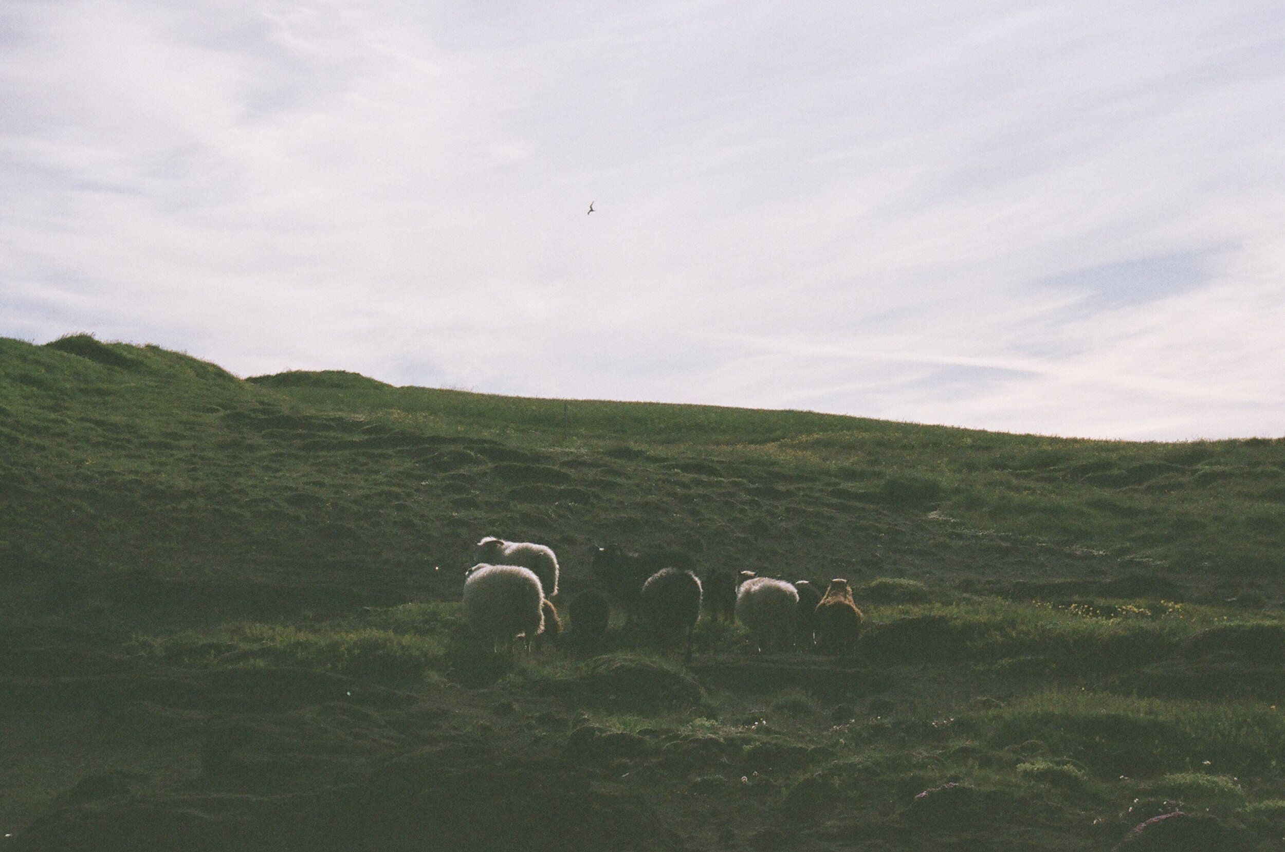  Iceland, 35mm 