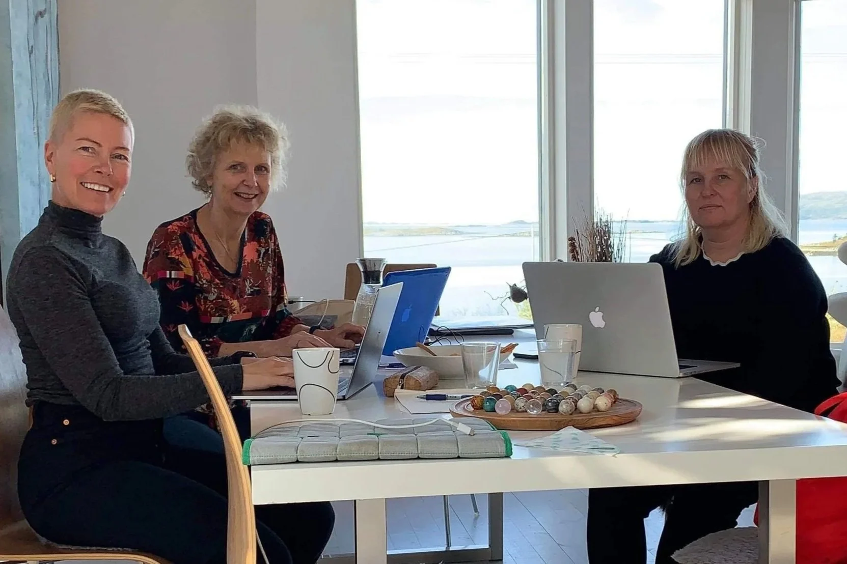 Spotlight of a Research Team and Project