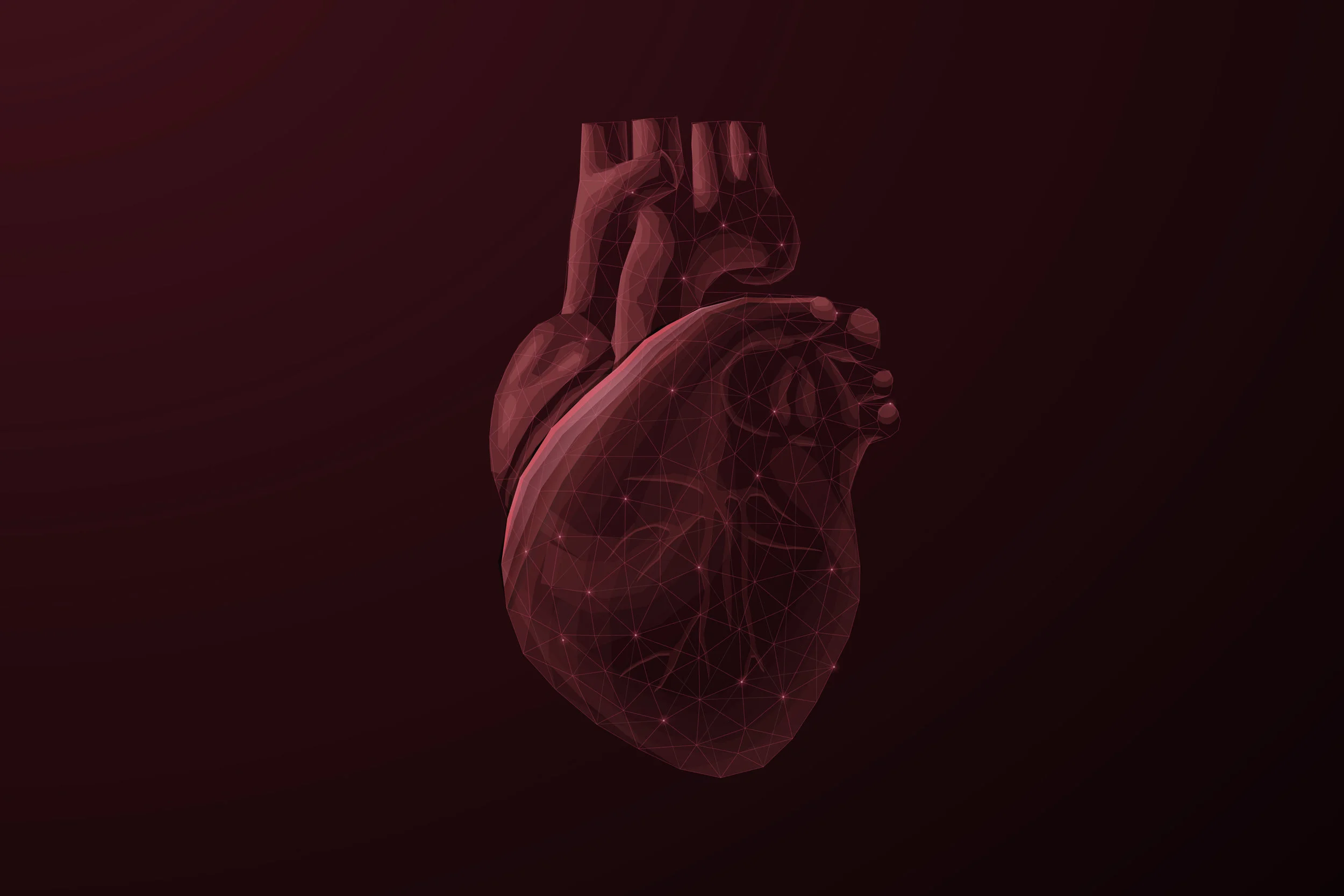 Heart_2.jpg