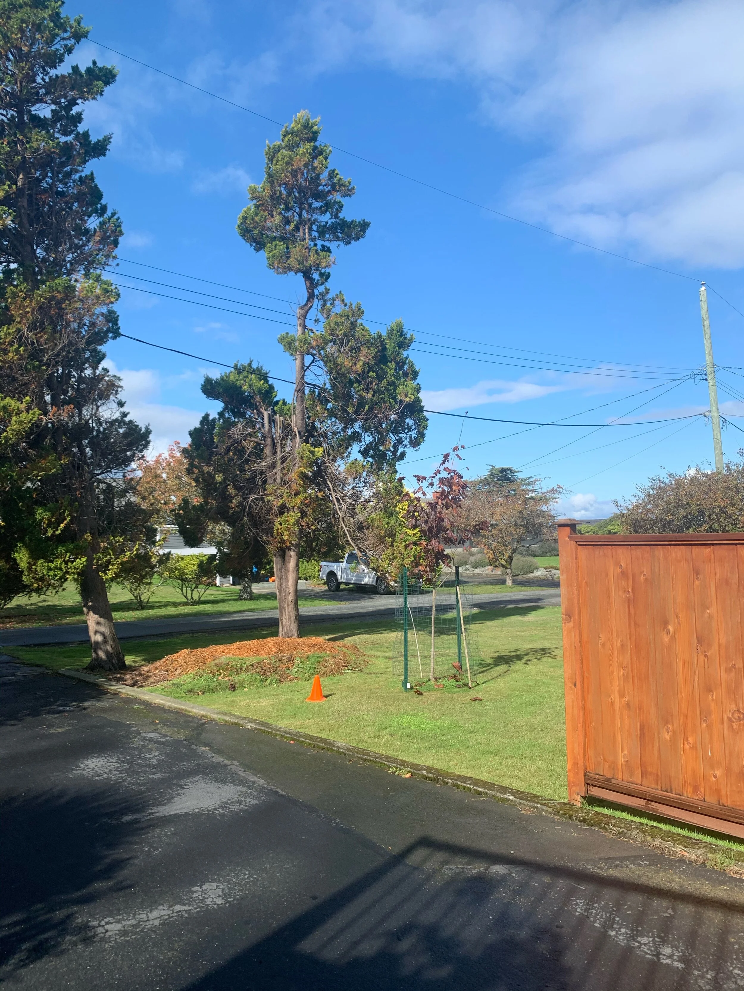 First Day In Victoria BC