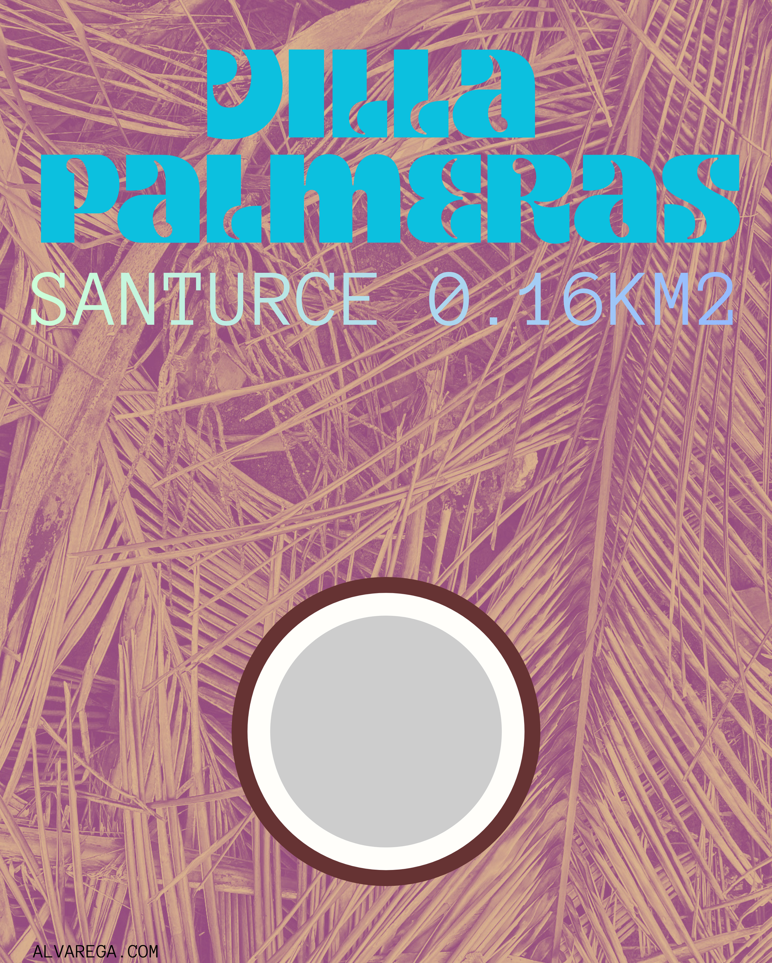 VILLA PALMERAS (1).png