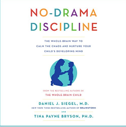 no drama discipline