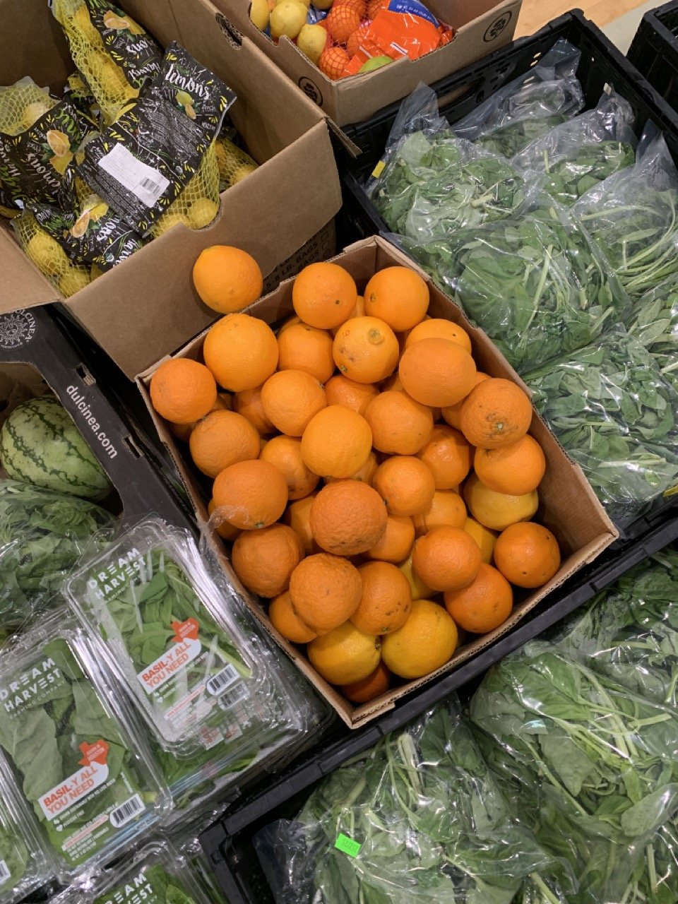 Fruits:Produce Large.jpeg