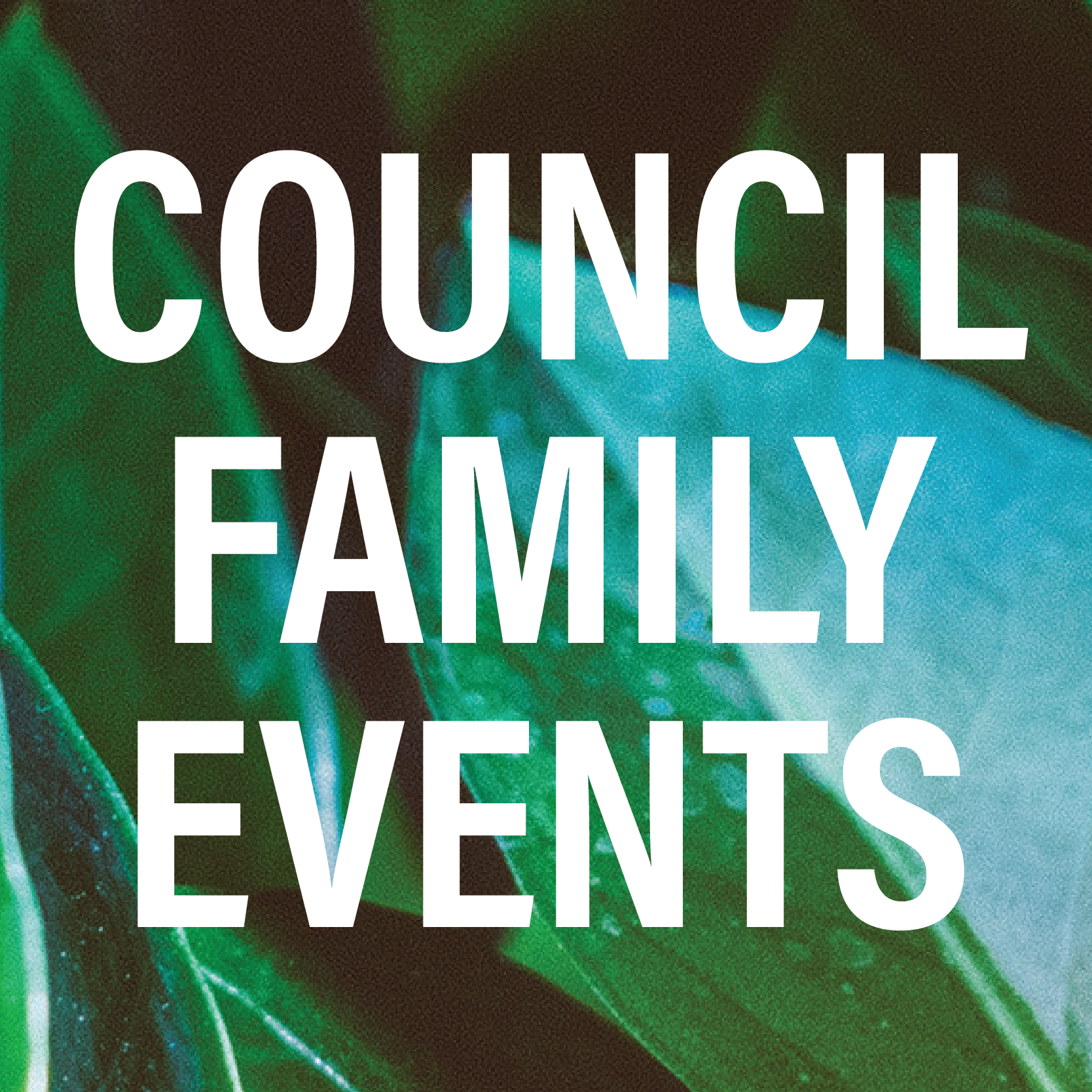 O–SL Family connection lunch