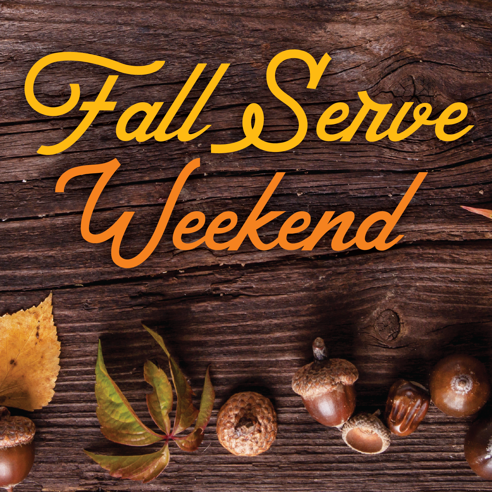 Fall Serve Weekend