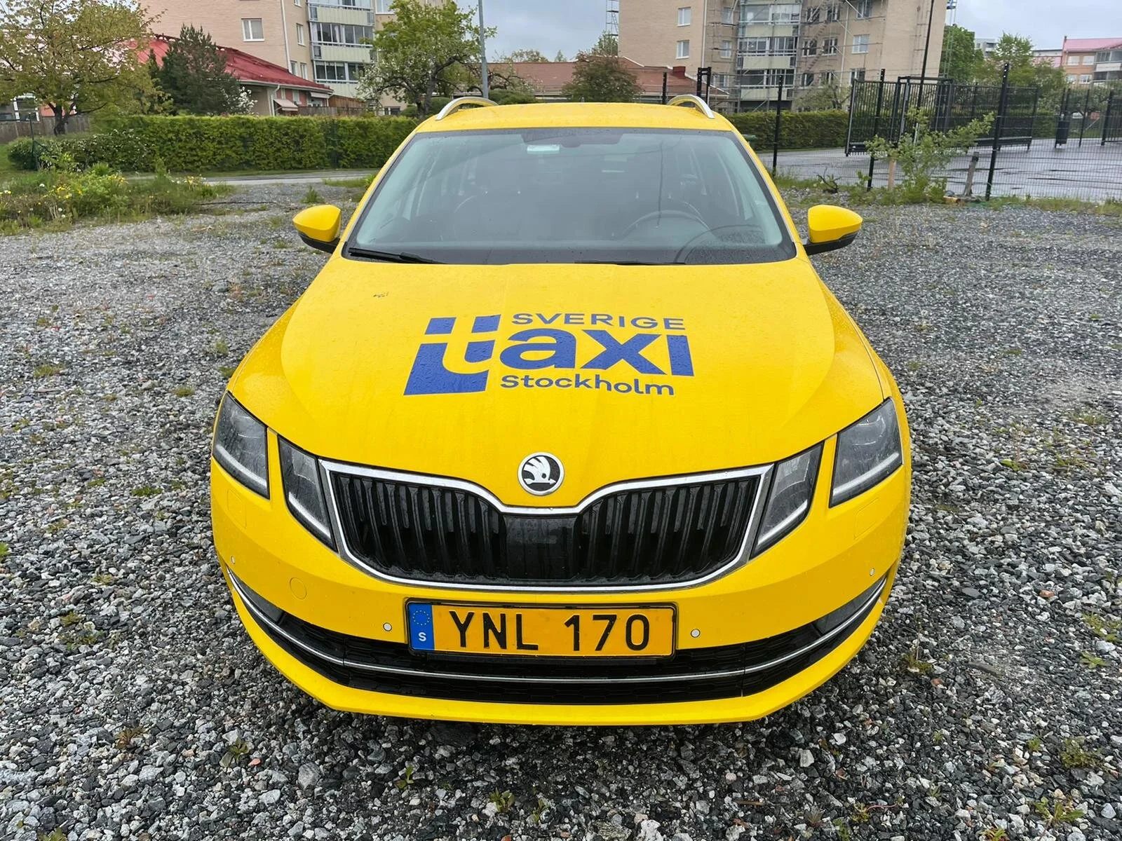 WhatsApp Image 2021-07-30 at 15.17.46.jpeg