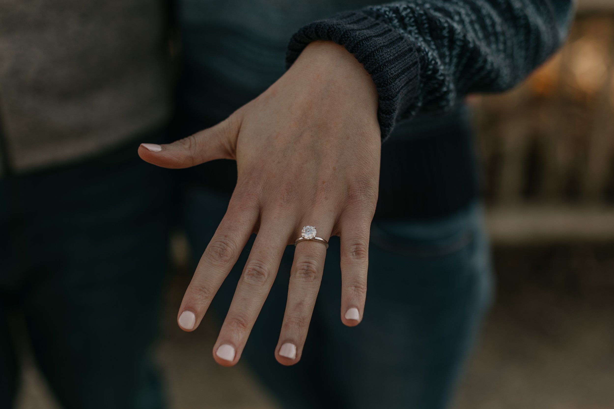 Jones Point Park Surprise Proposal