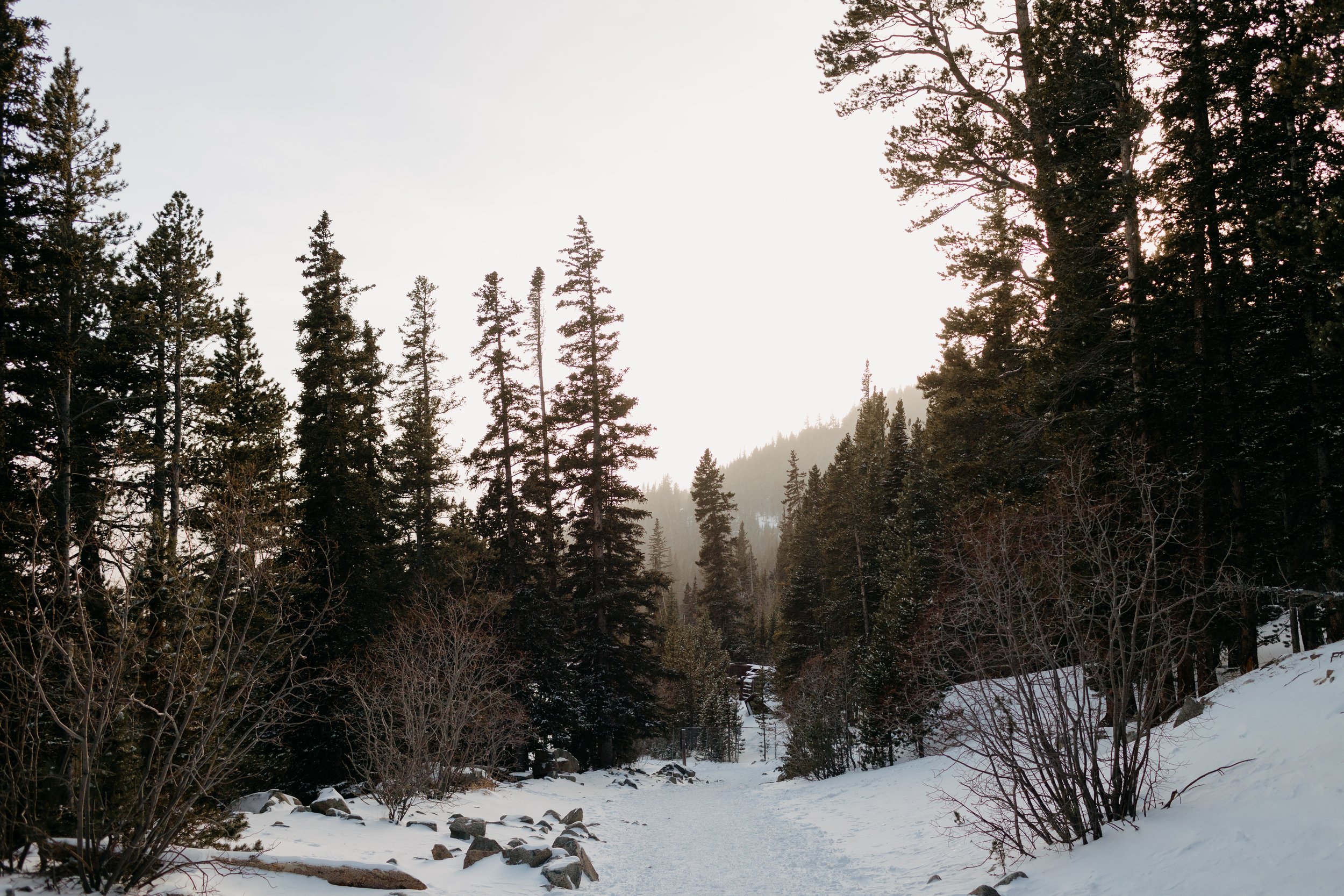 St-Mary's-Glacier-Surprise-Proposal-7798.jpg