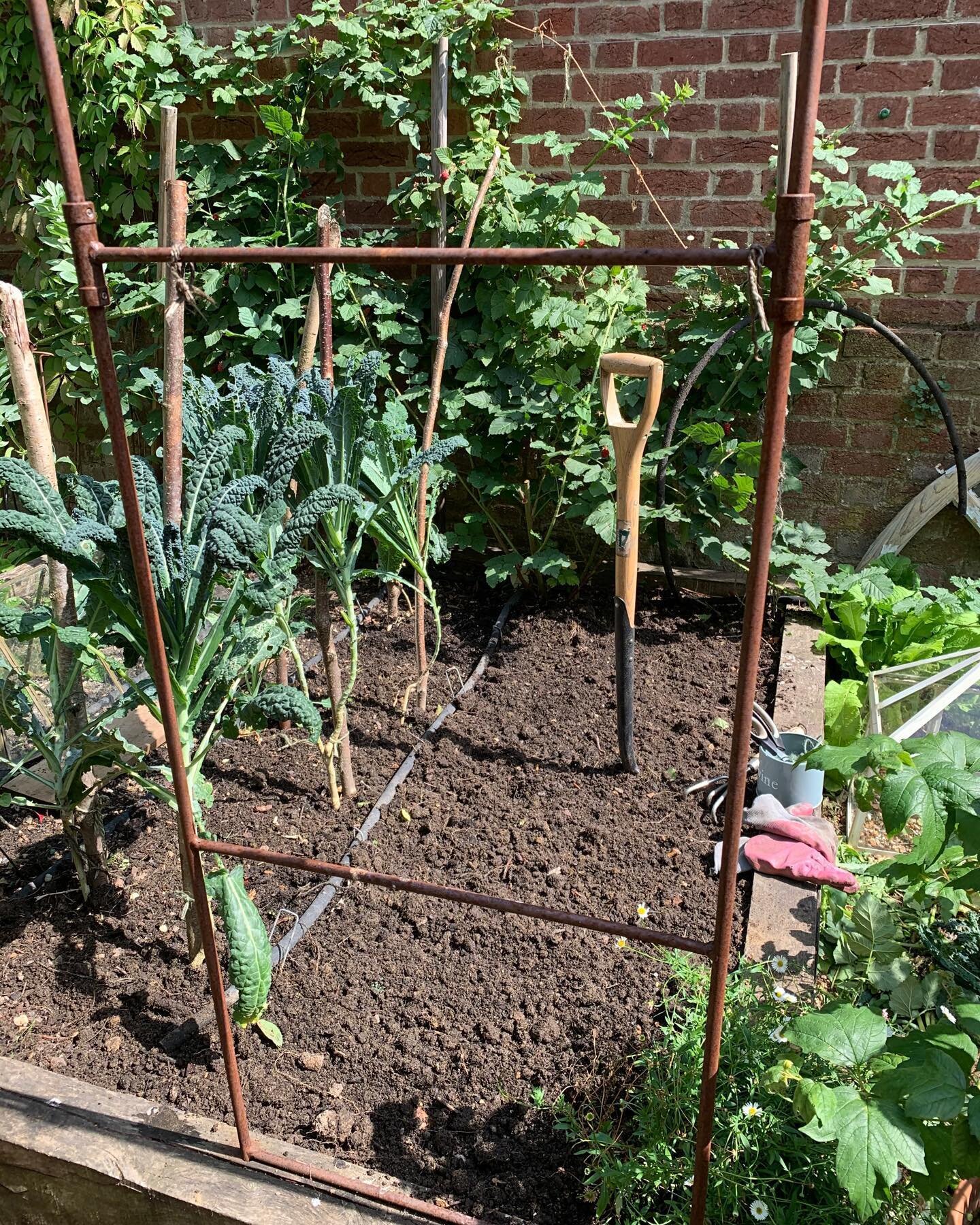 And a freshly turned bed ready for some tomato seedlings 🌱