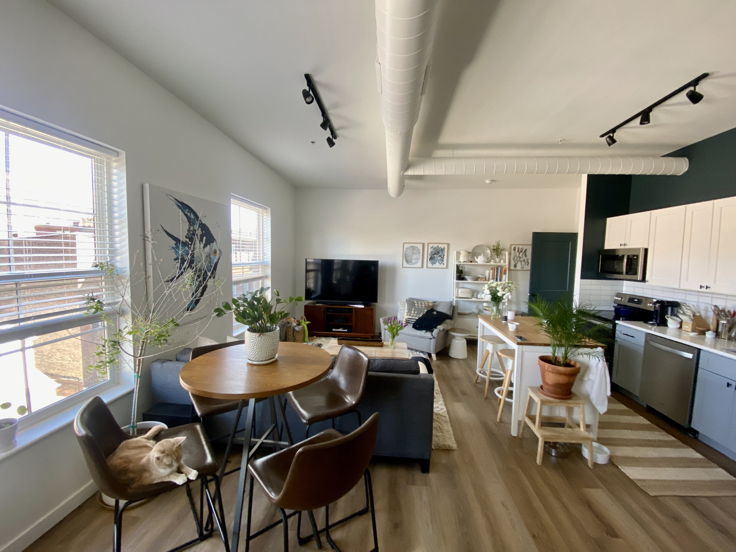 308 Miltenberger Apartments - 2BR living kitchen 