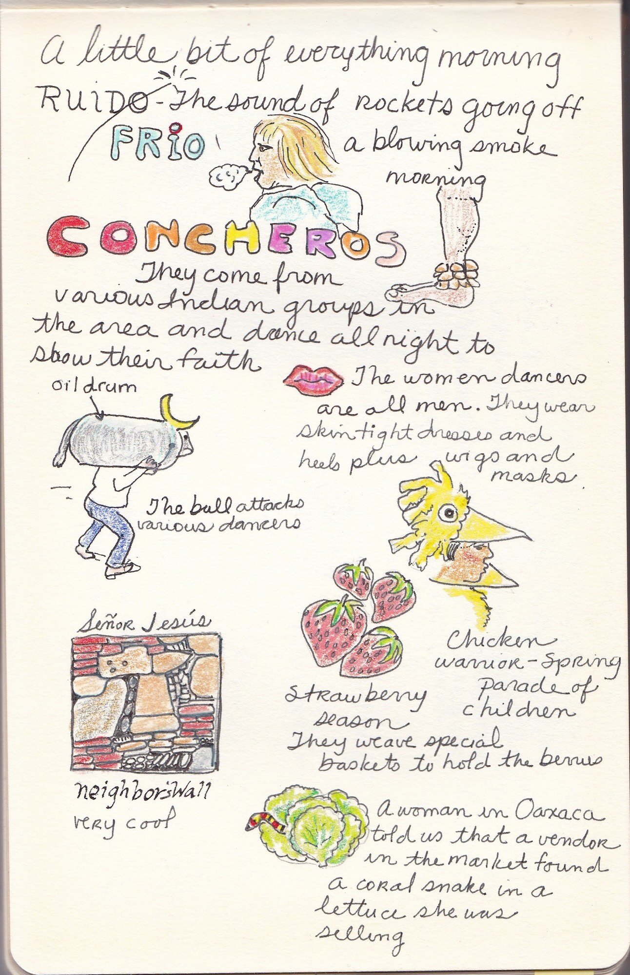 The Concheros, with roots from pre-Columbian times, has pre-Hispanic and Christian elements, and includes indigenous dance steps and instruments.