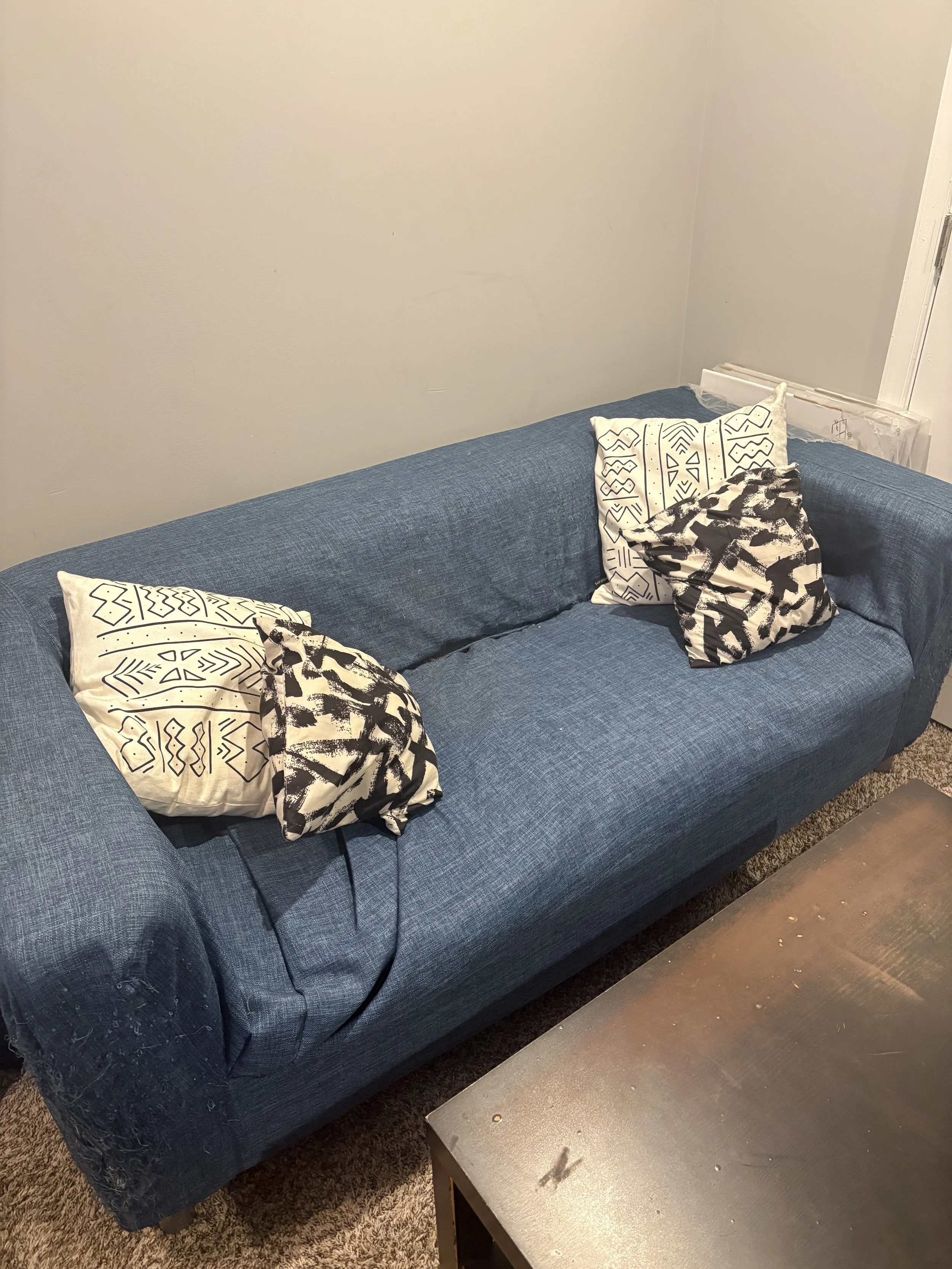 Ikea Loveseat w/ Pillows