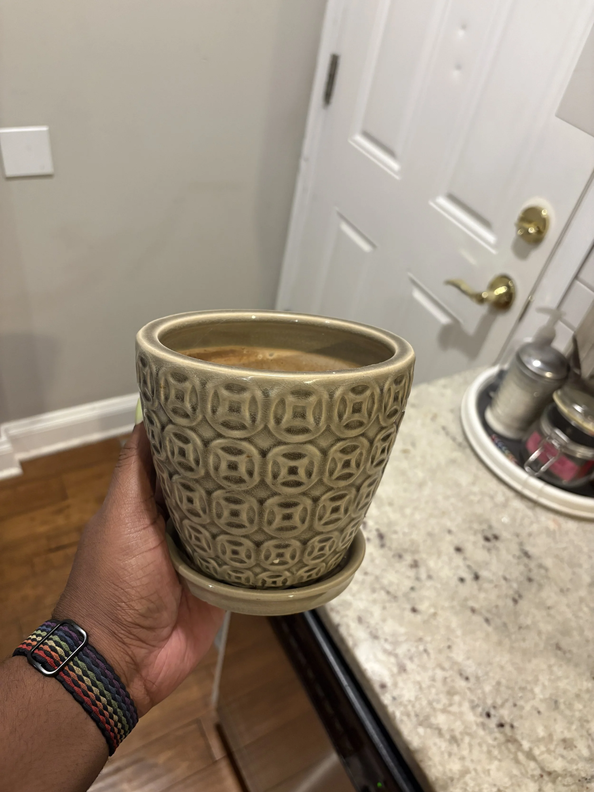 Plant Pot
