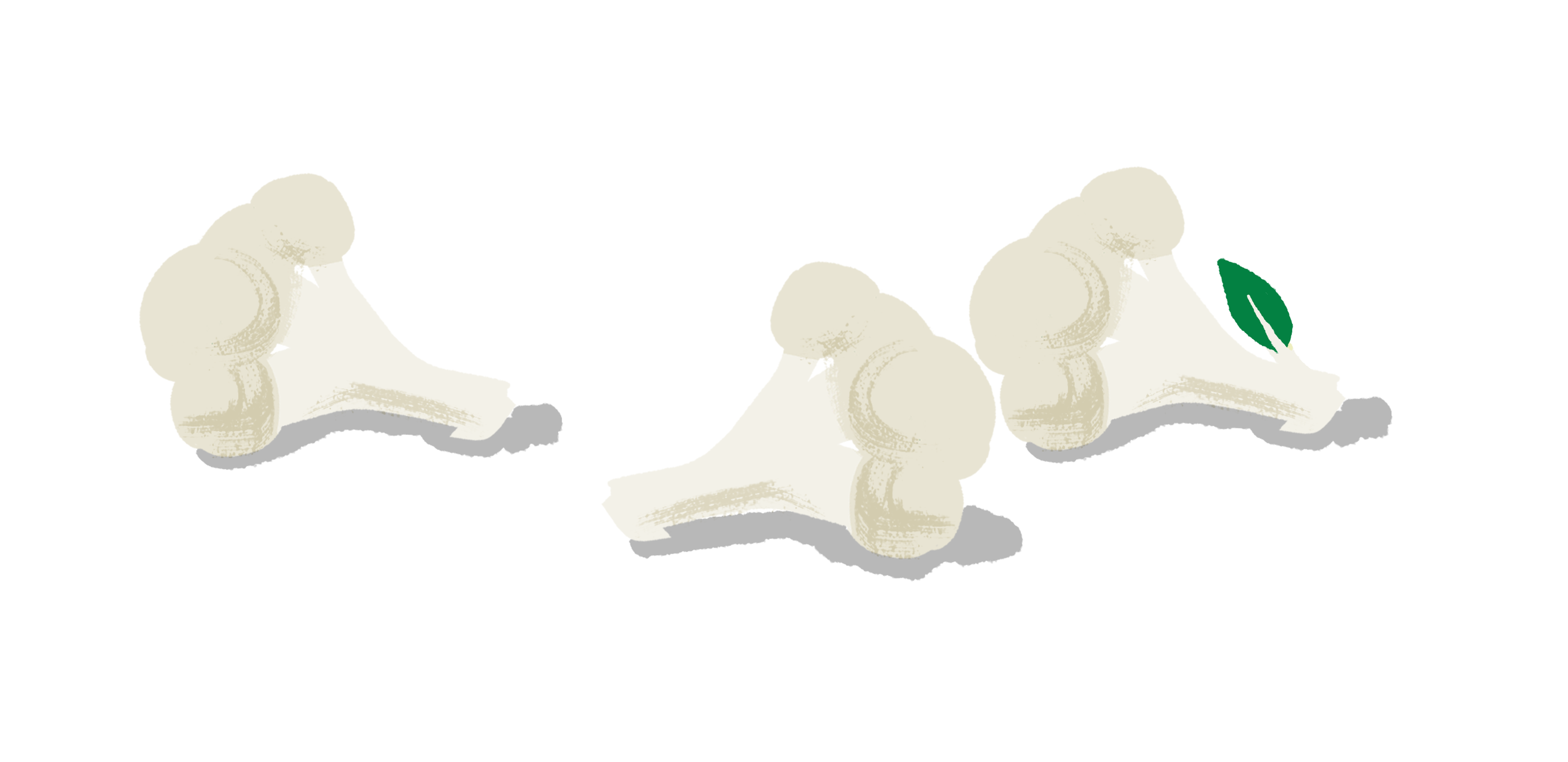 VEGETABLES_cauliflower.png