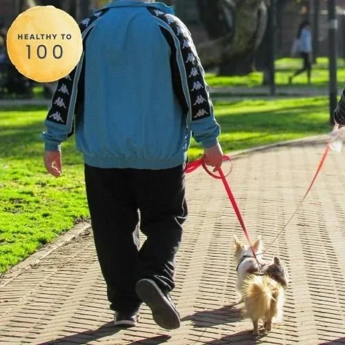 Sully Is Pretty Cute, But All in All, We Prefer the Real Animals.