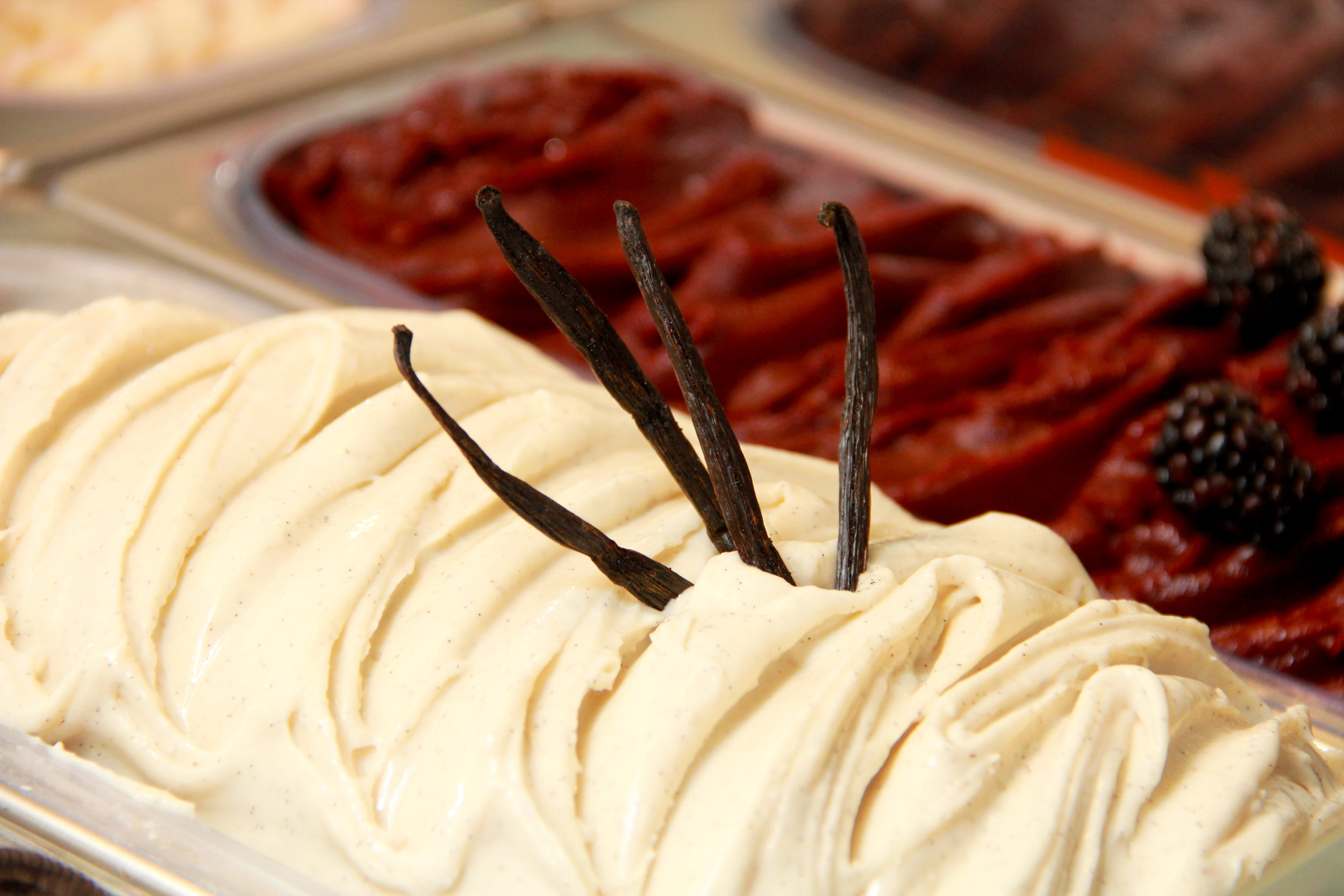 A mound of vanilla bean gelato next to a tray of raspberry sorbet