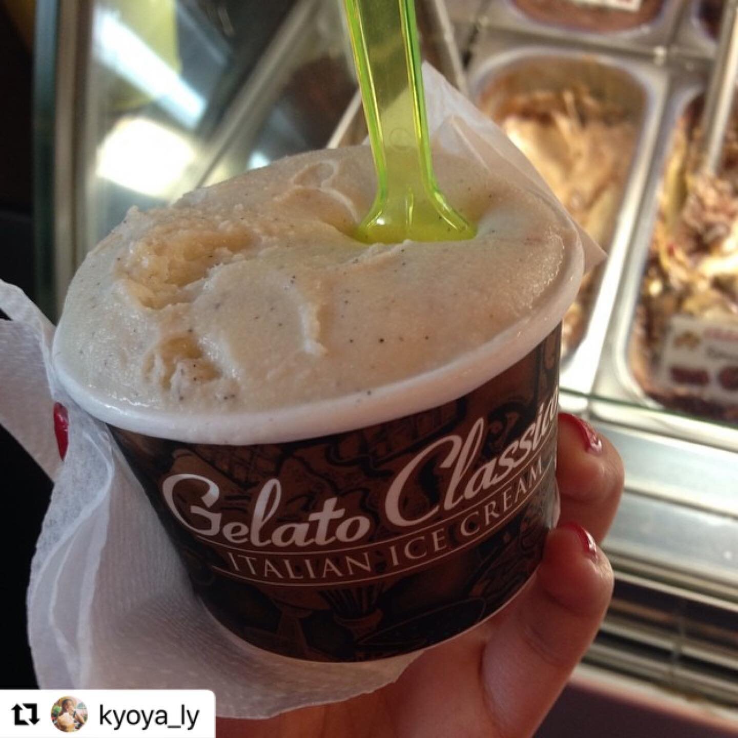 Today's vanilla bean

#Repost @kyoya_ly
・・・
.
.#gelatoclassico #gelato #dessertsofinstagram #yelpbayarea #gelatolovers #dessertporn #dessertlover #food #dessertaddict  #dailyfoodfeed #bayareaeats #bayareafoodie #eaterbayarea #icecream #foodporn #nomn